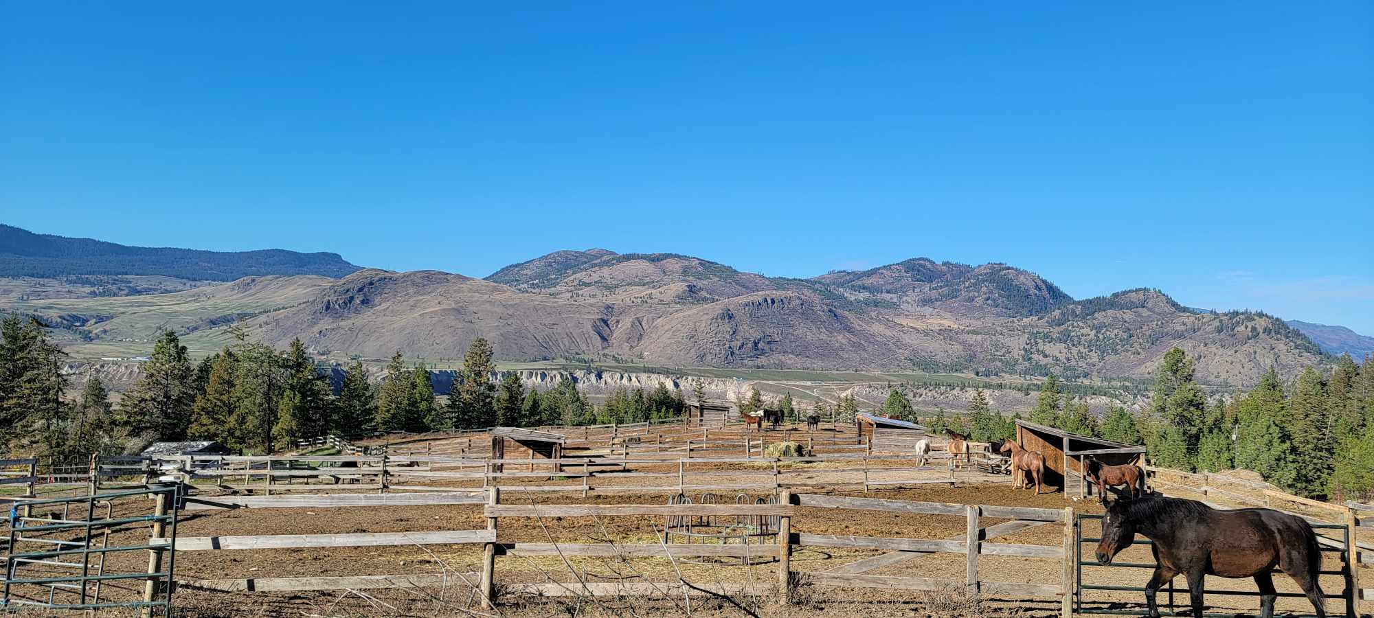 October paddock view