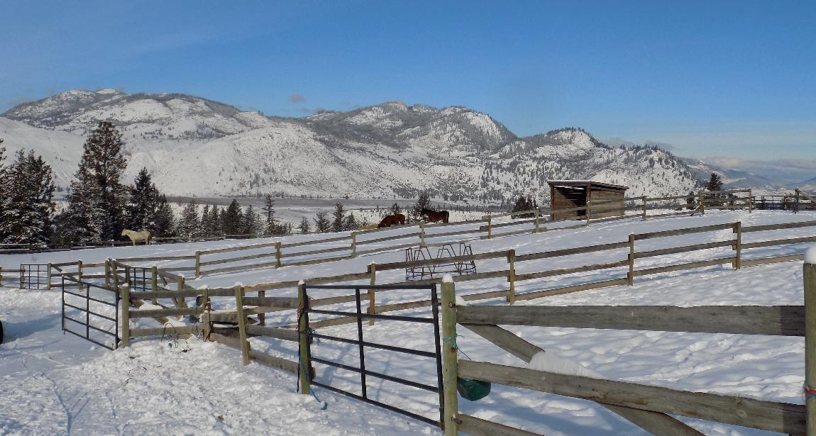 January paddock view of hills