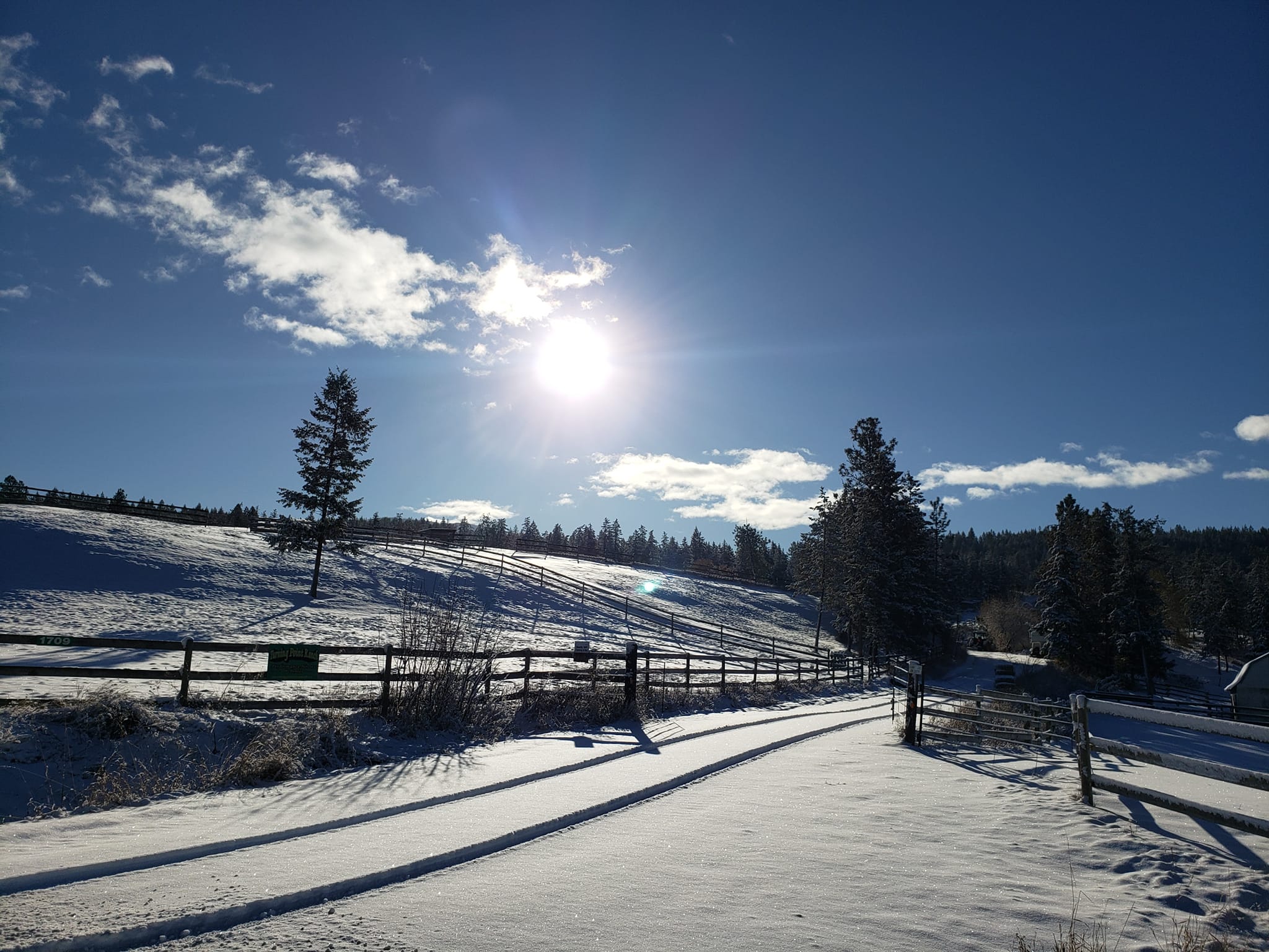 Winter beauty