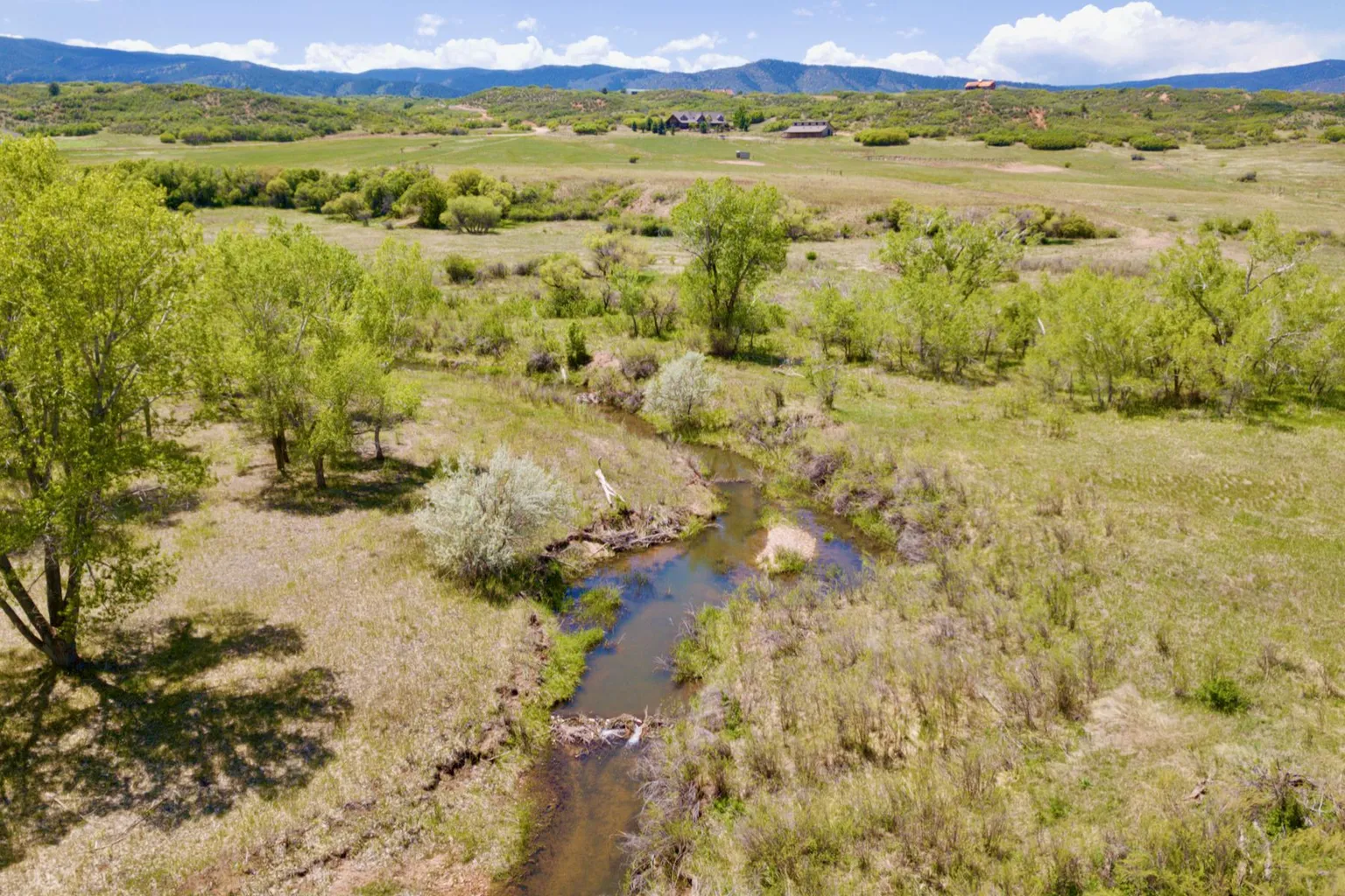 On site trails with creek