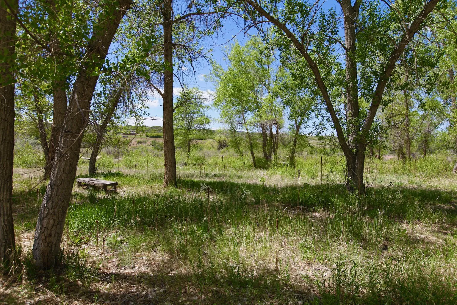 On site trails