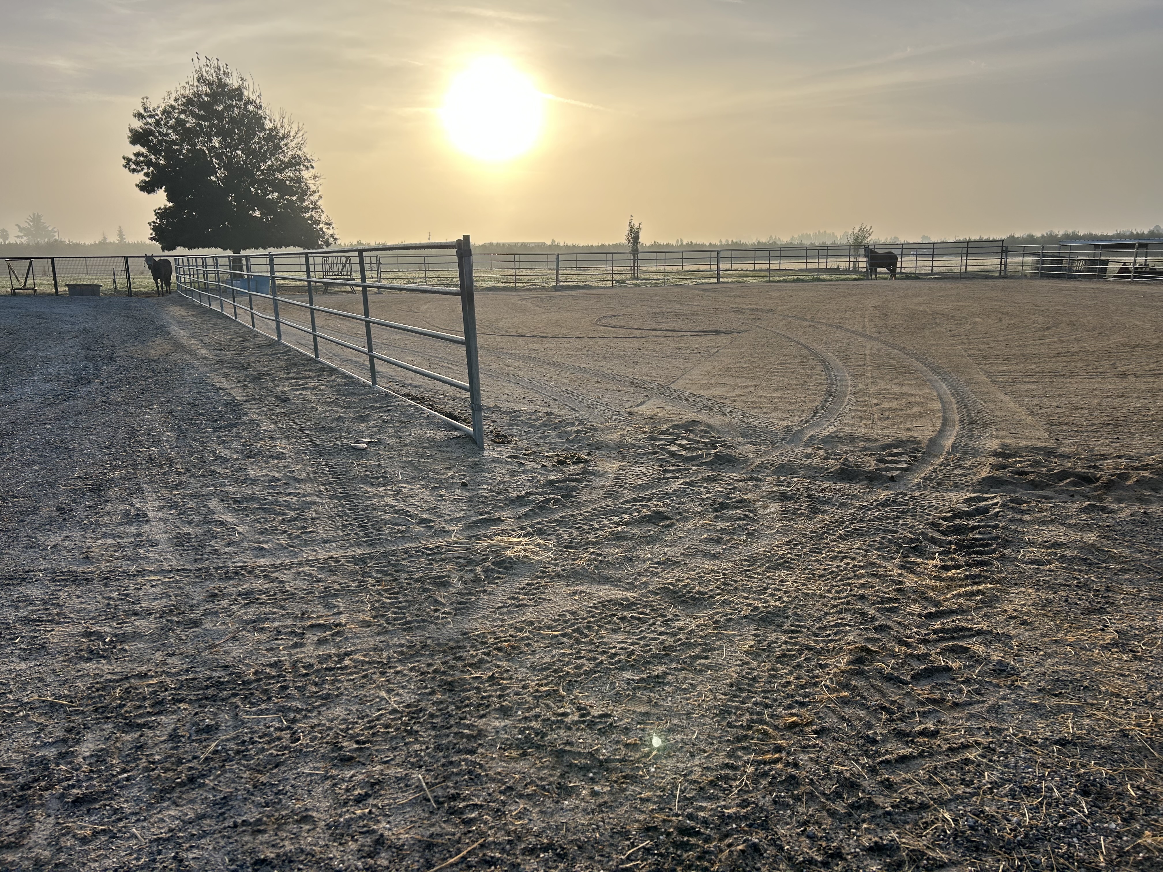 Sand arena