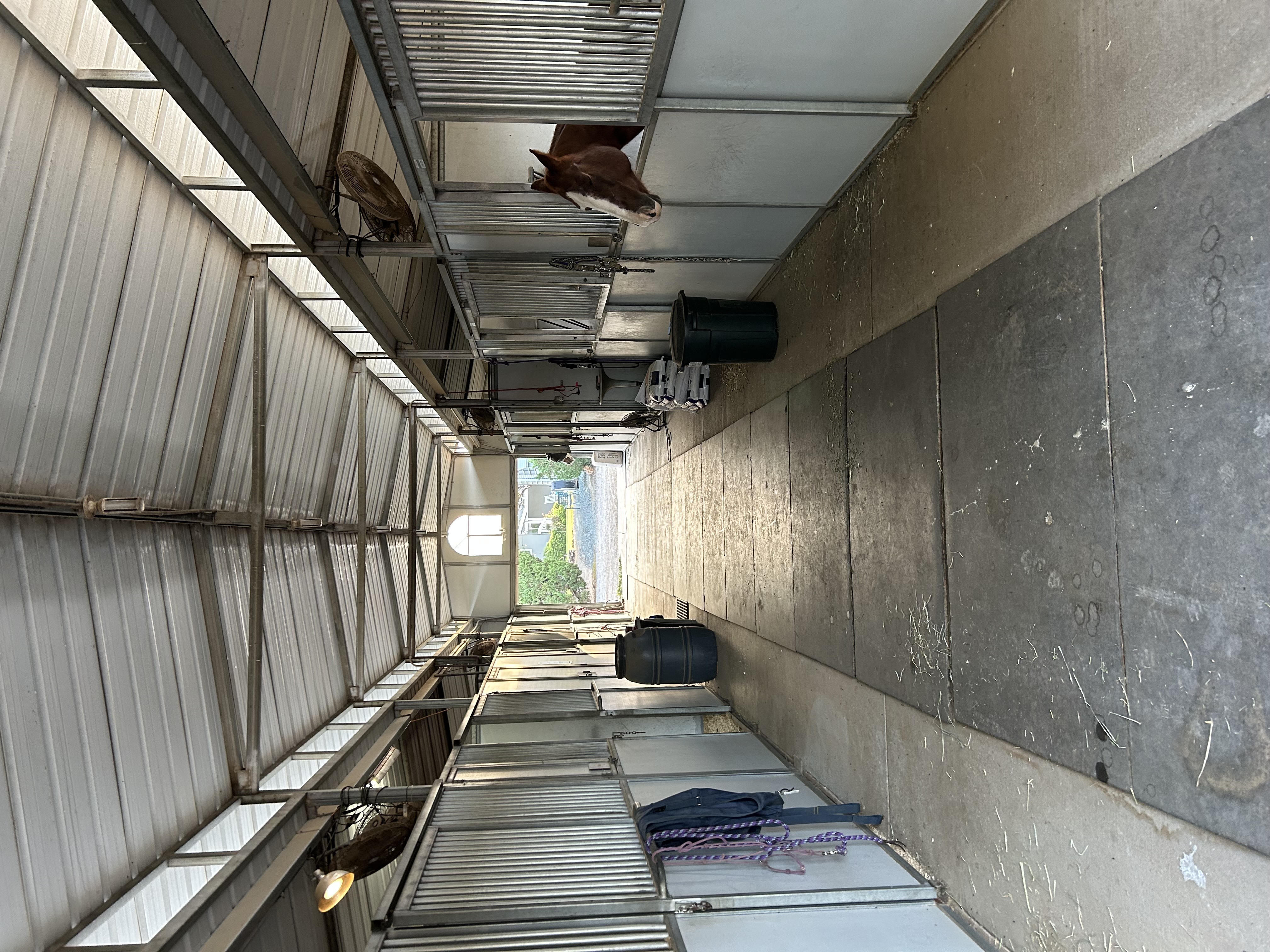 Main barn