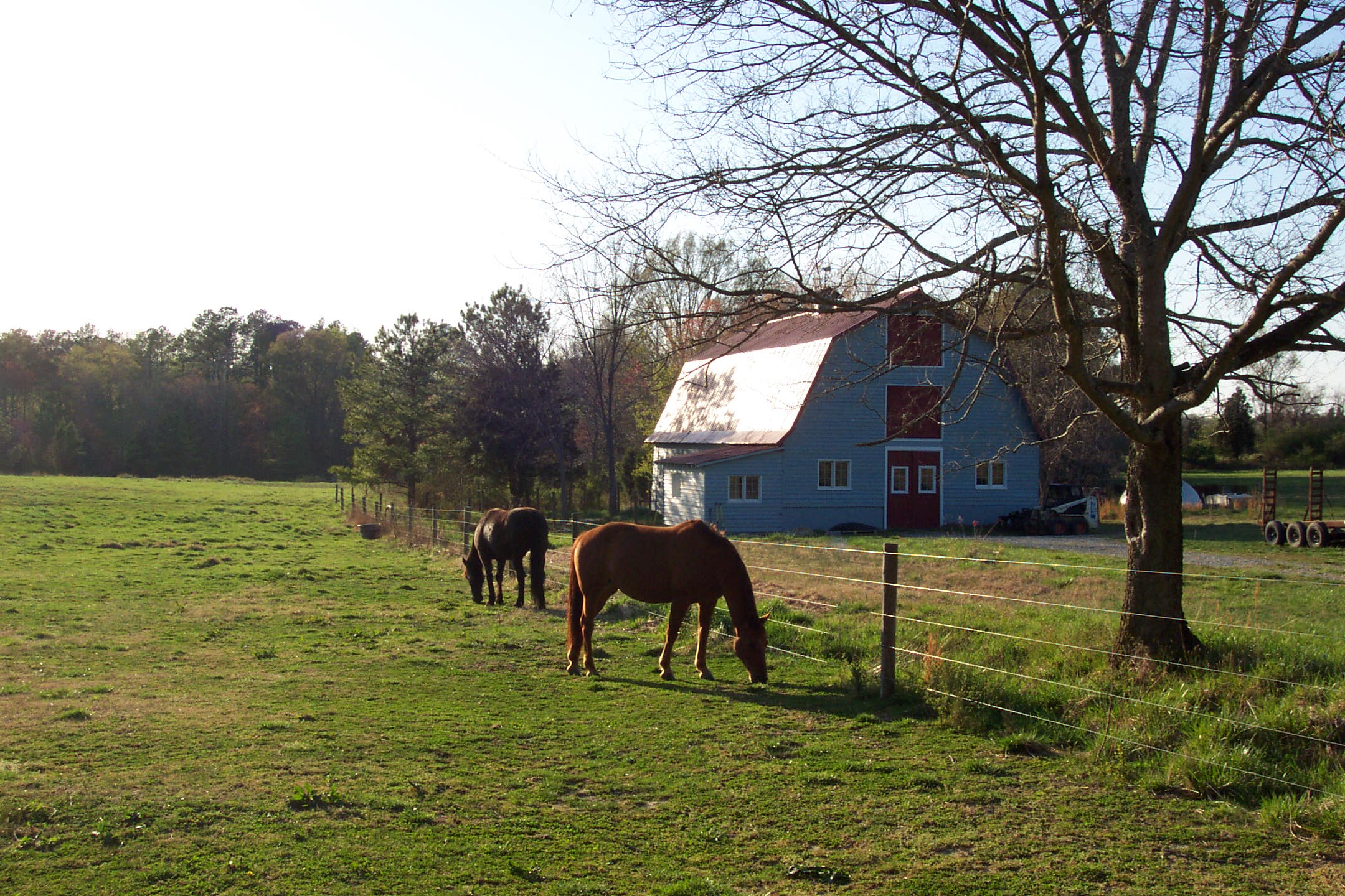 Terre Haute Farm