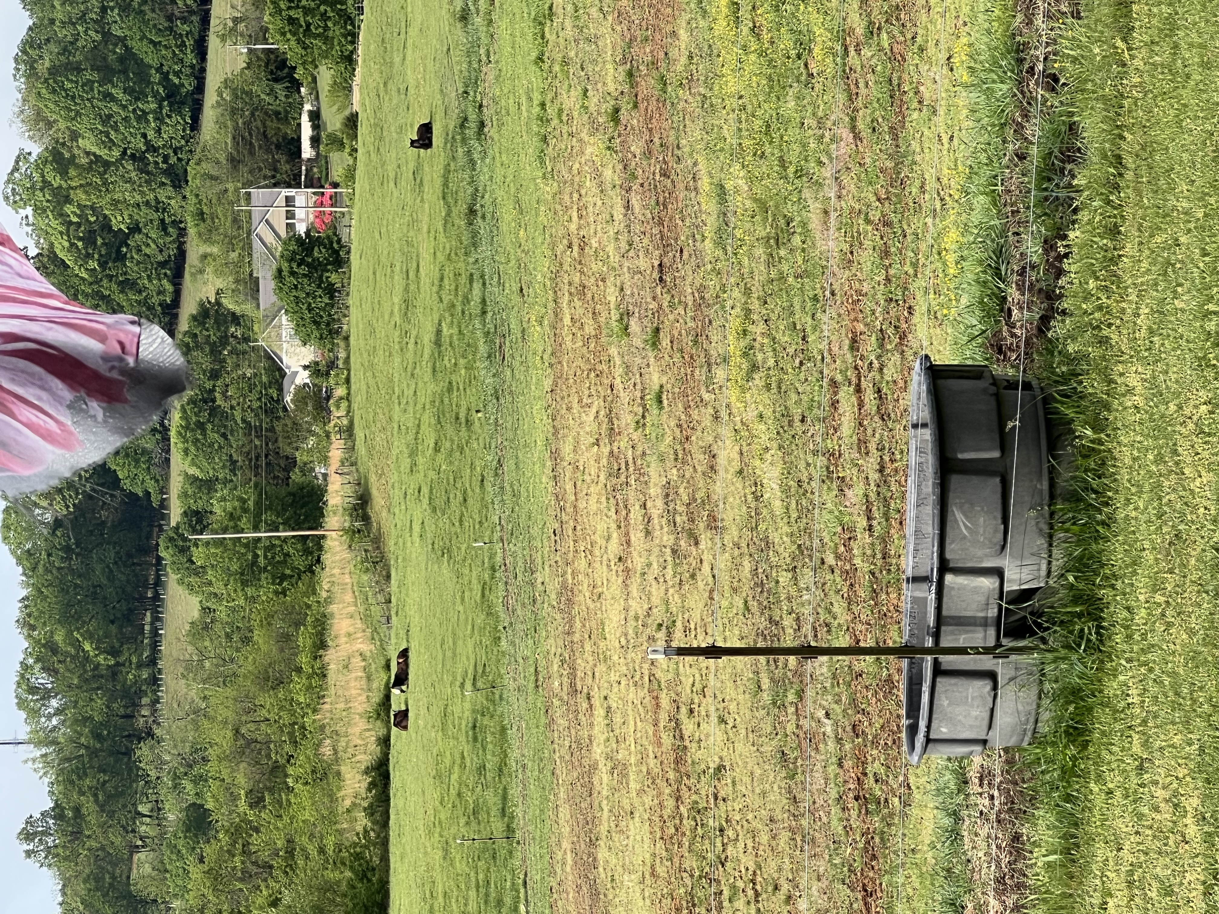 Shared pastures where they feel safe!