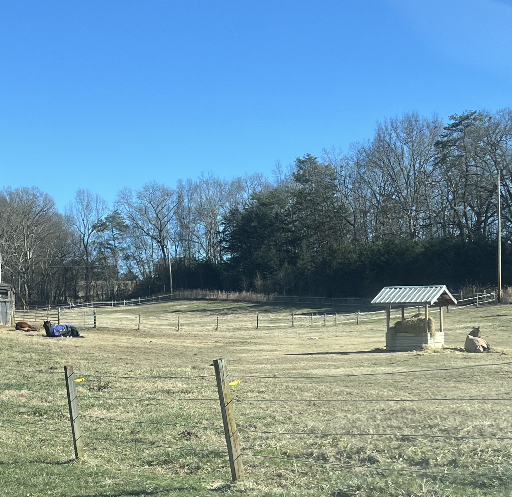 Hay sheds!