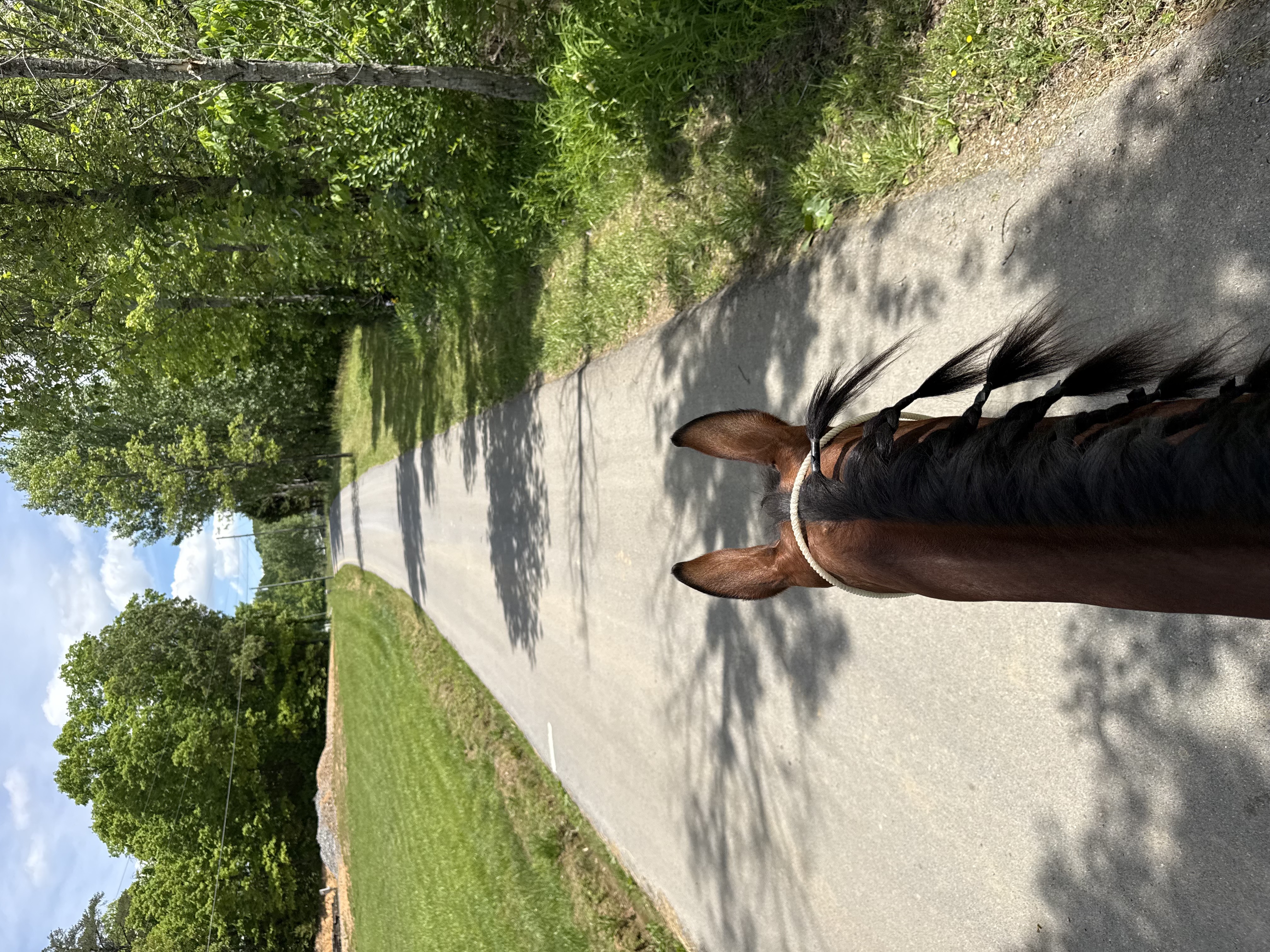 Riding down my road, dead end & low traffic!