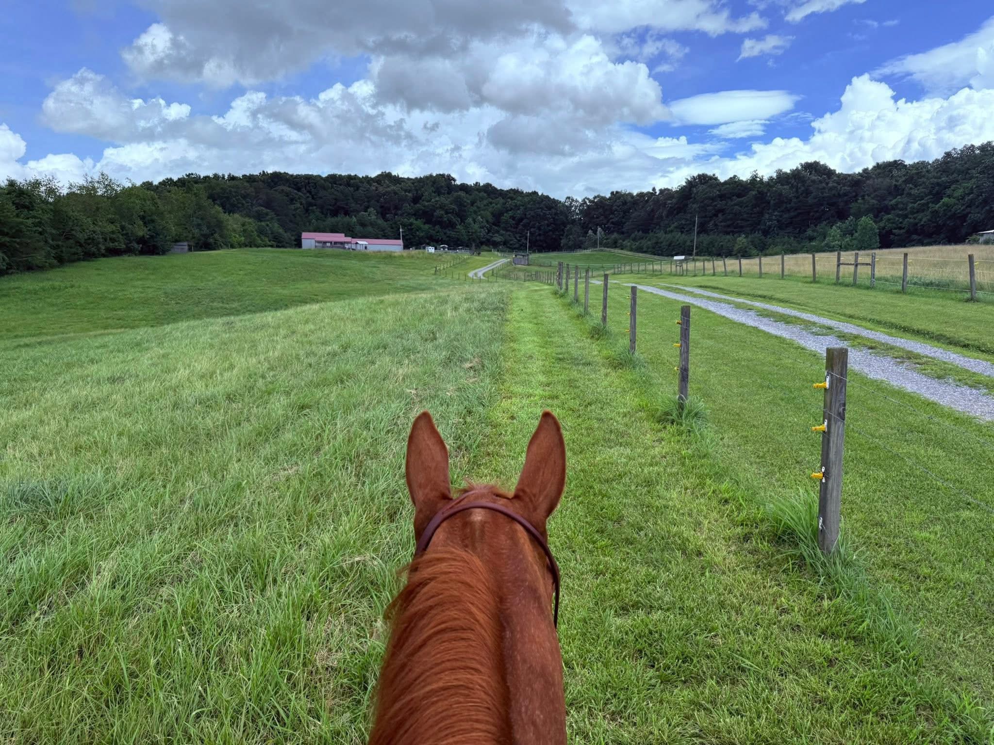 Pasture for riding!