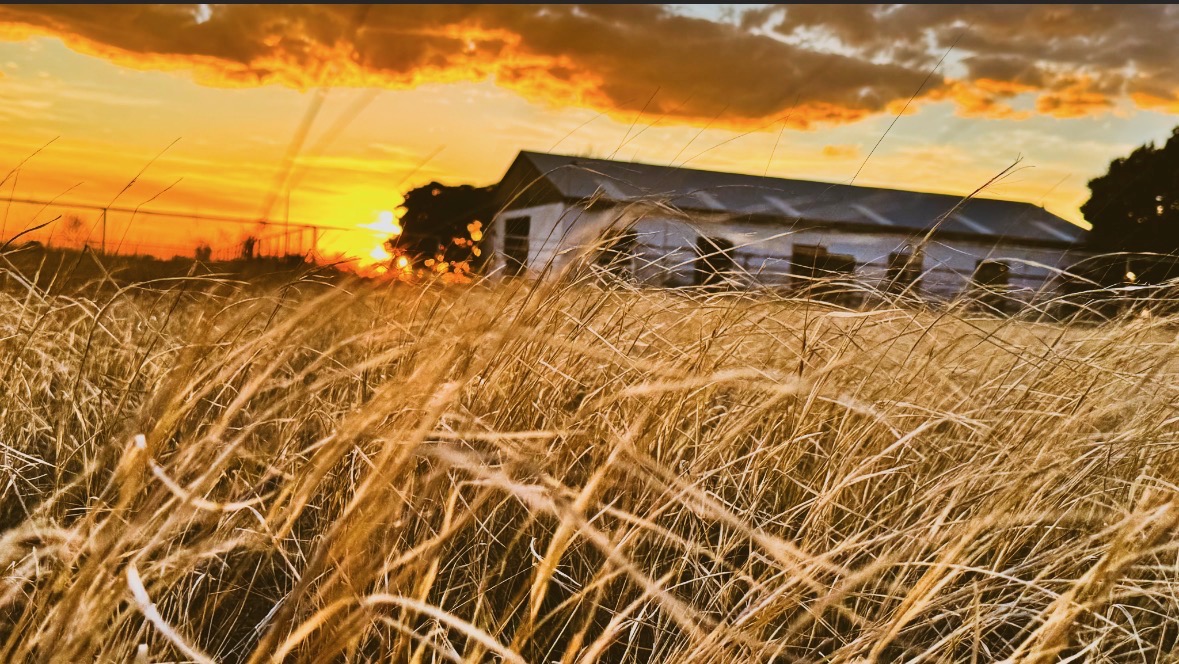Barn