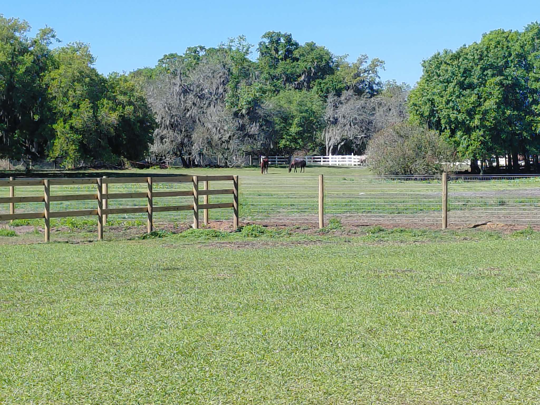 8 Acre turn out pasture