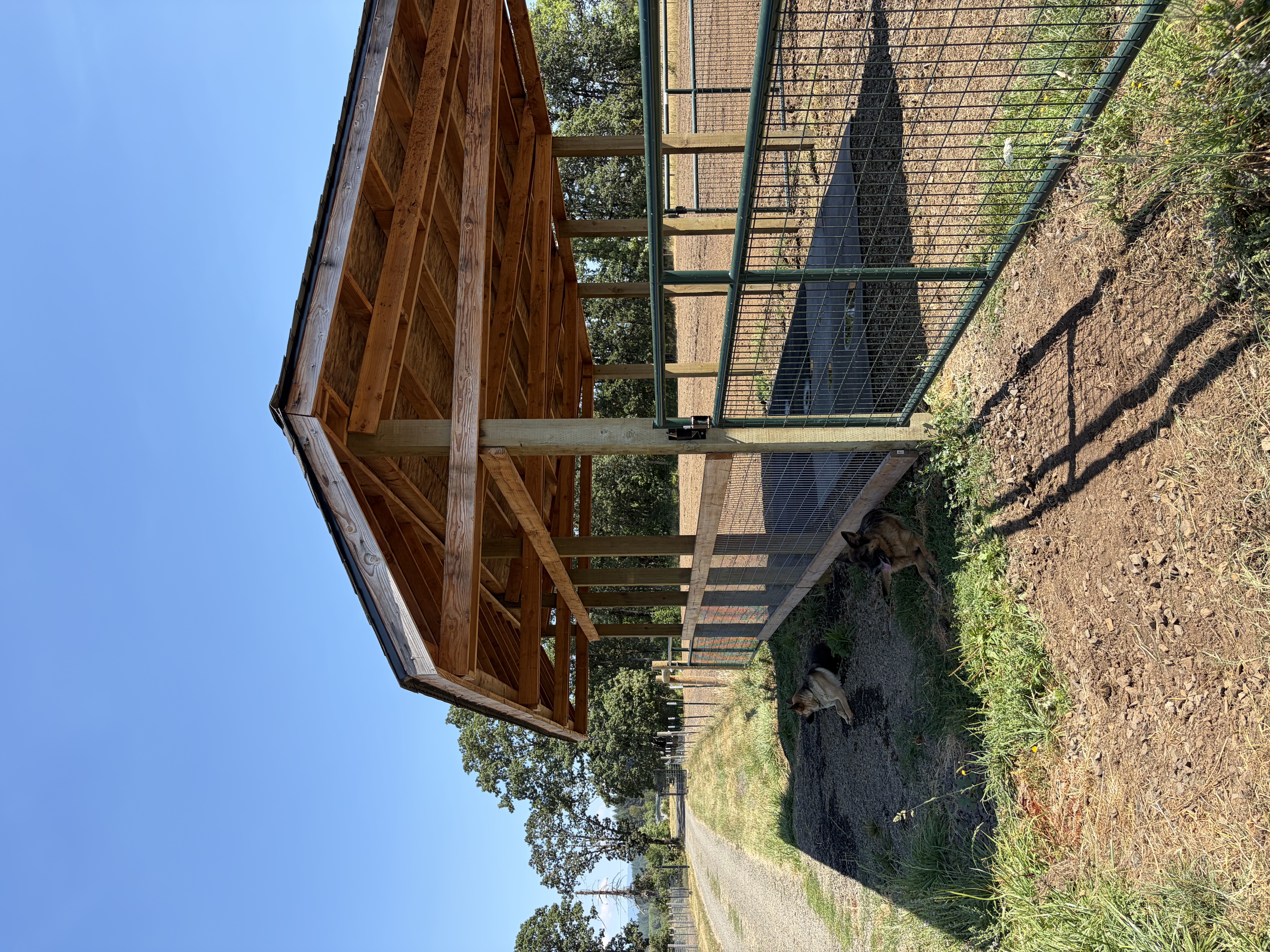 South Shelter
