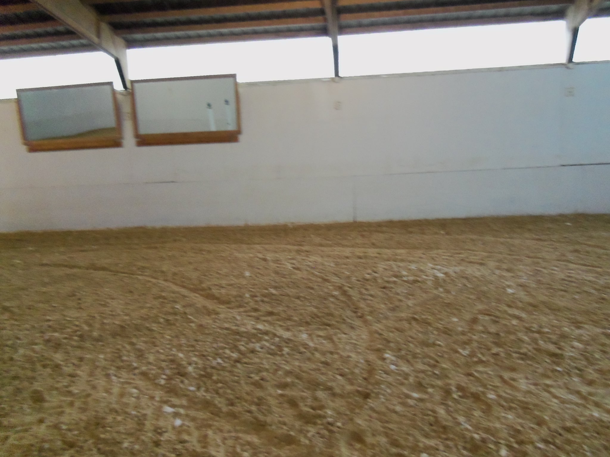 Indoor arena