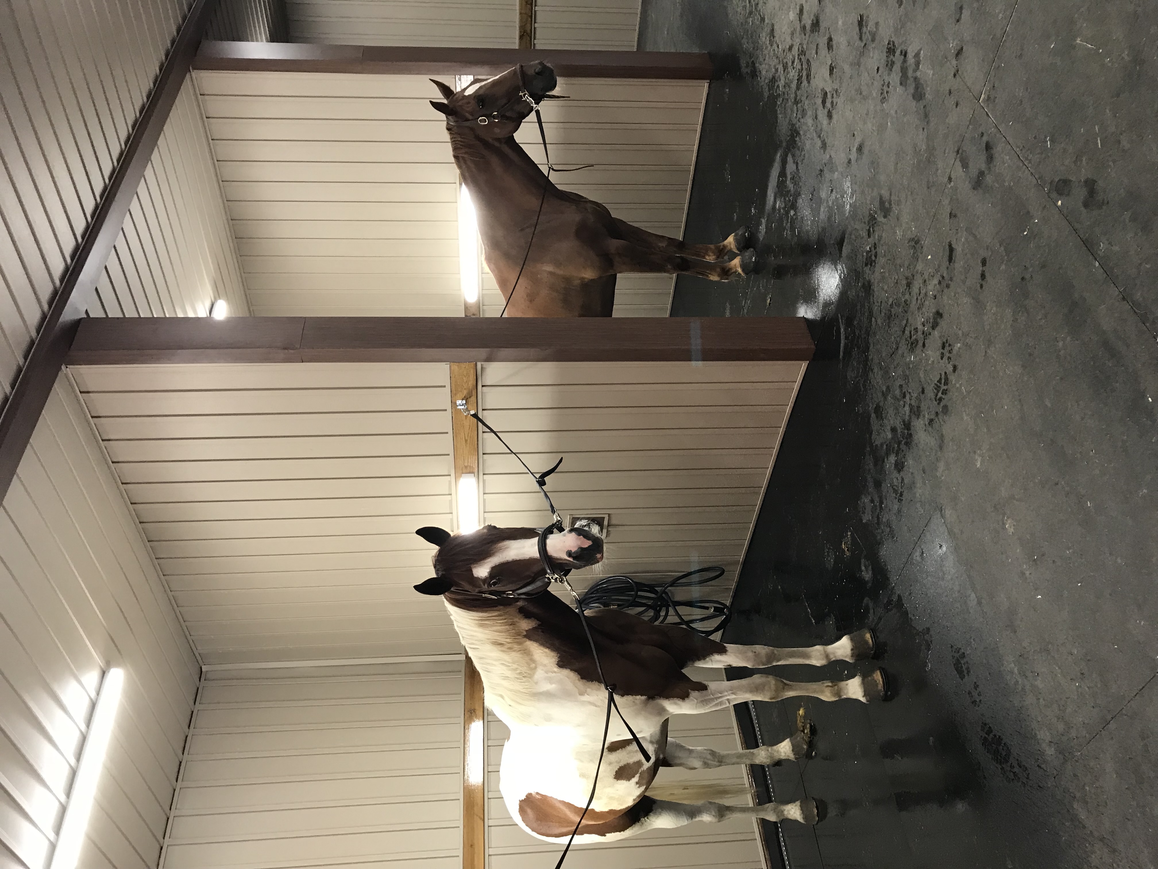 Large wash stalls with hot and cold water