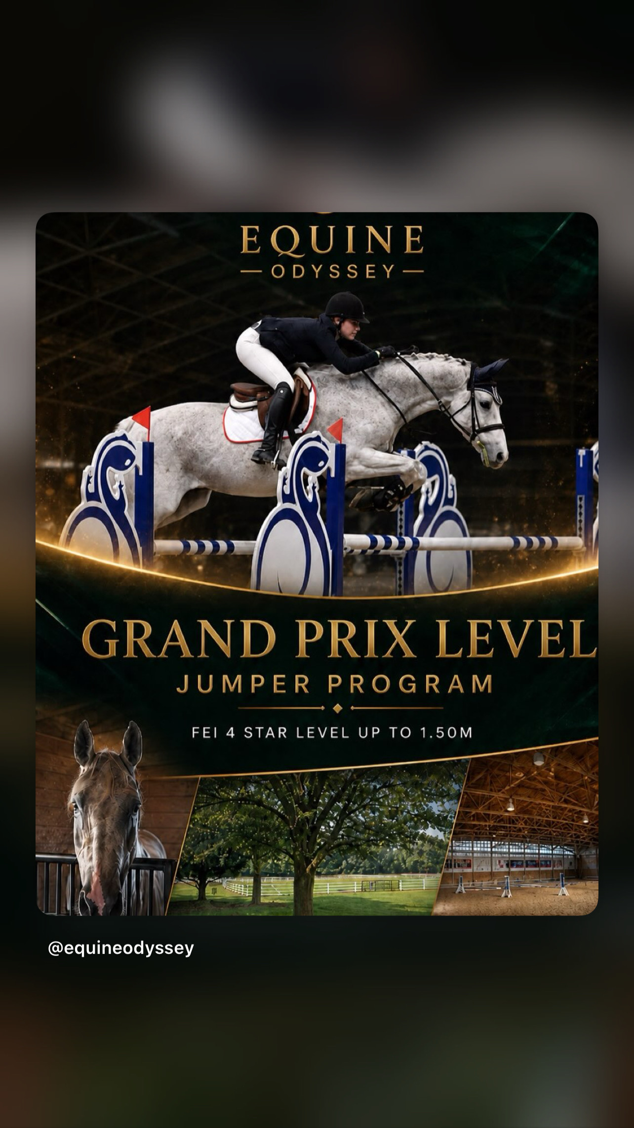 Grand Prix Jumper Program