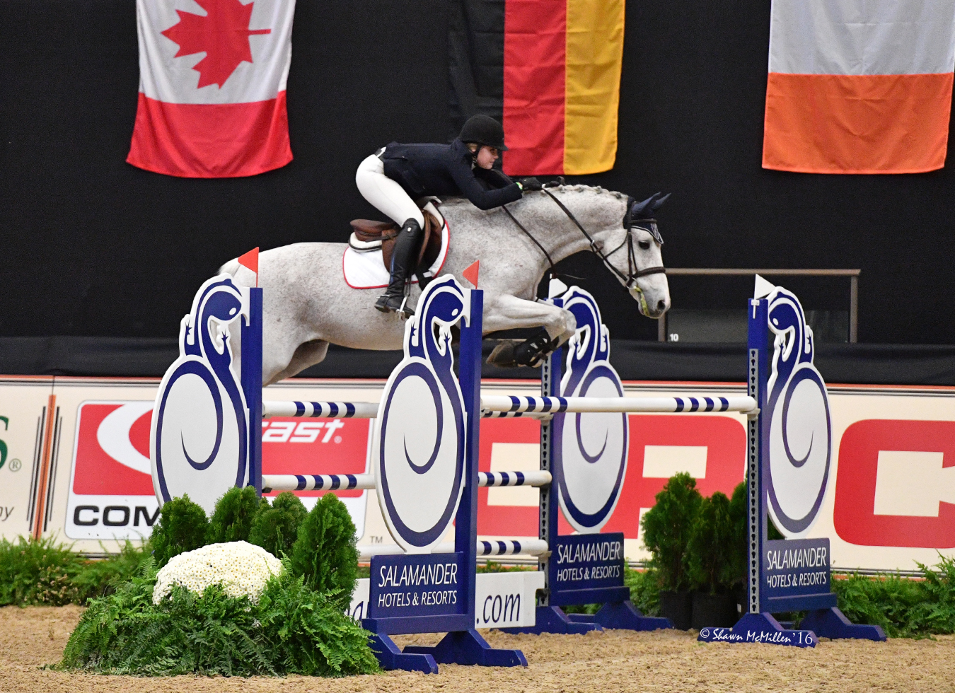 Hunter, Jumper and Equitation