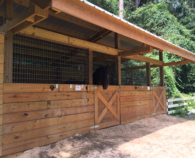 Shedrow stall