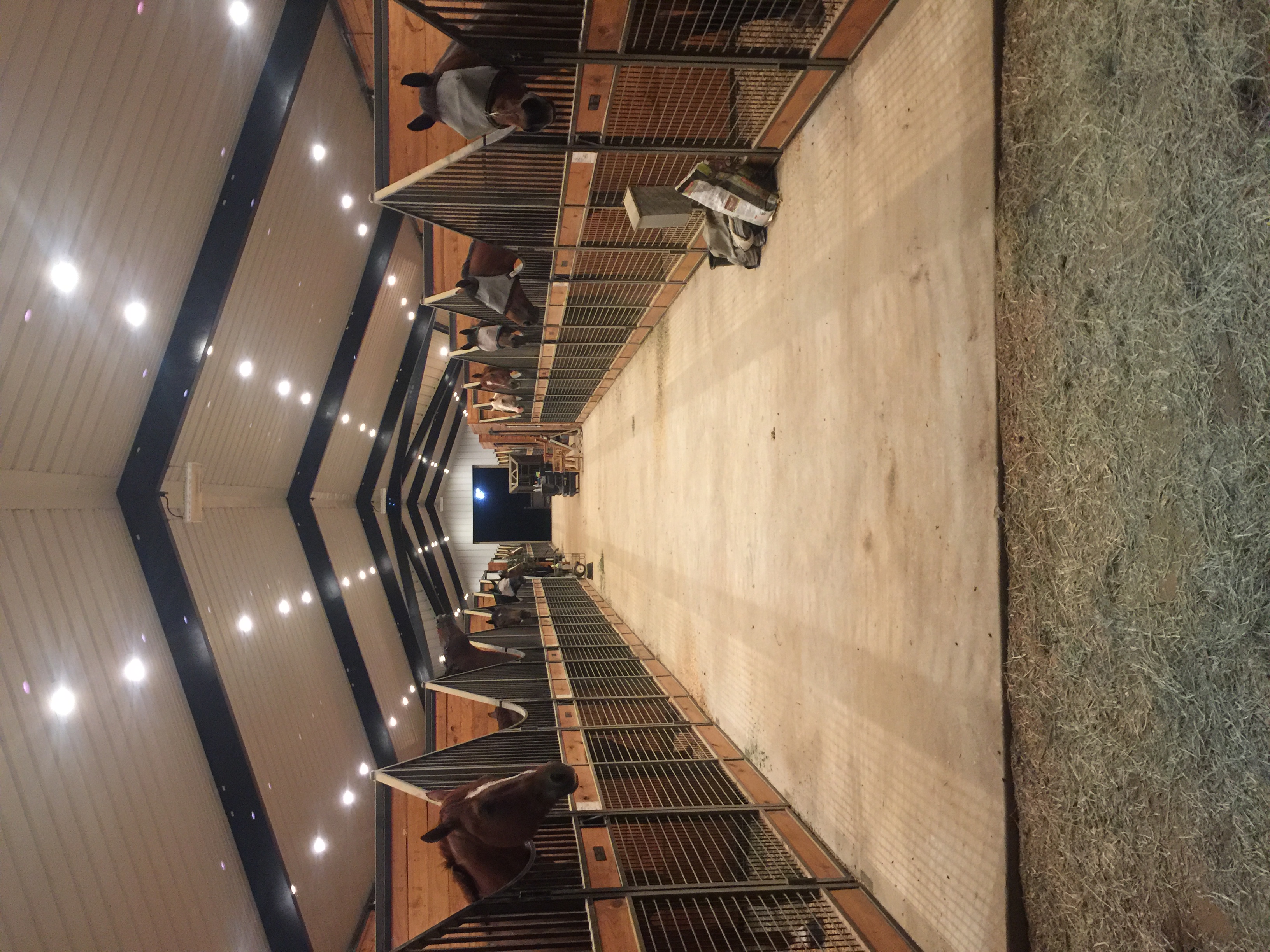 Show Barn