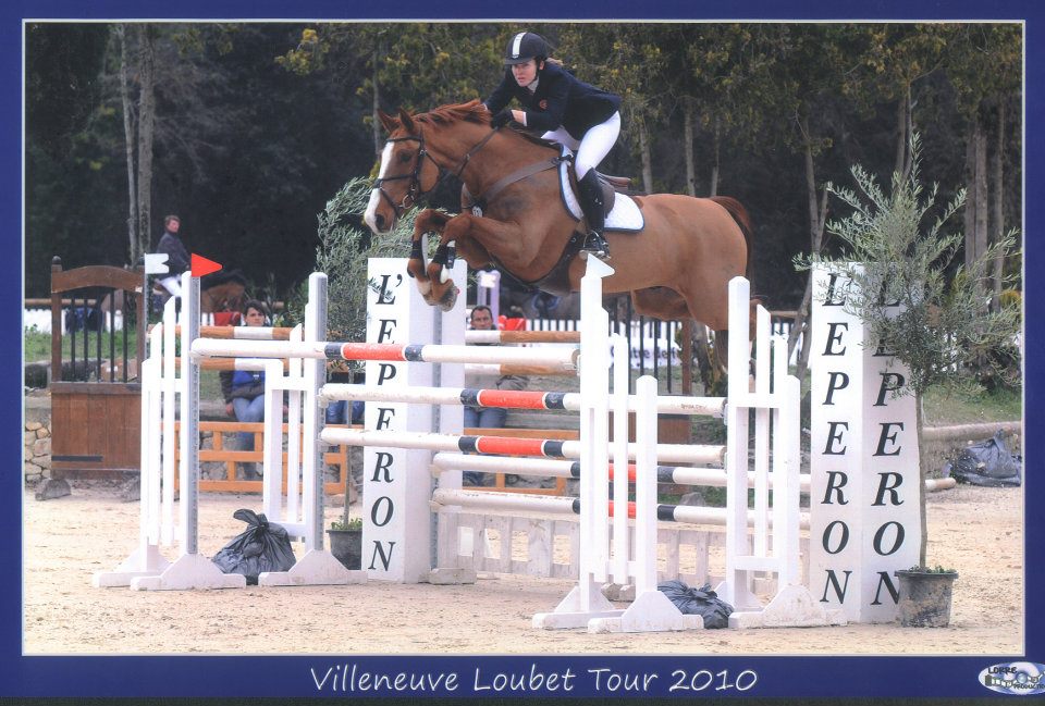Experienced Instructors