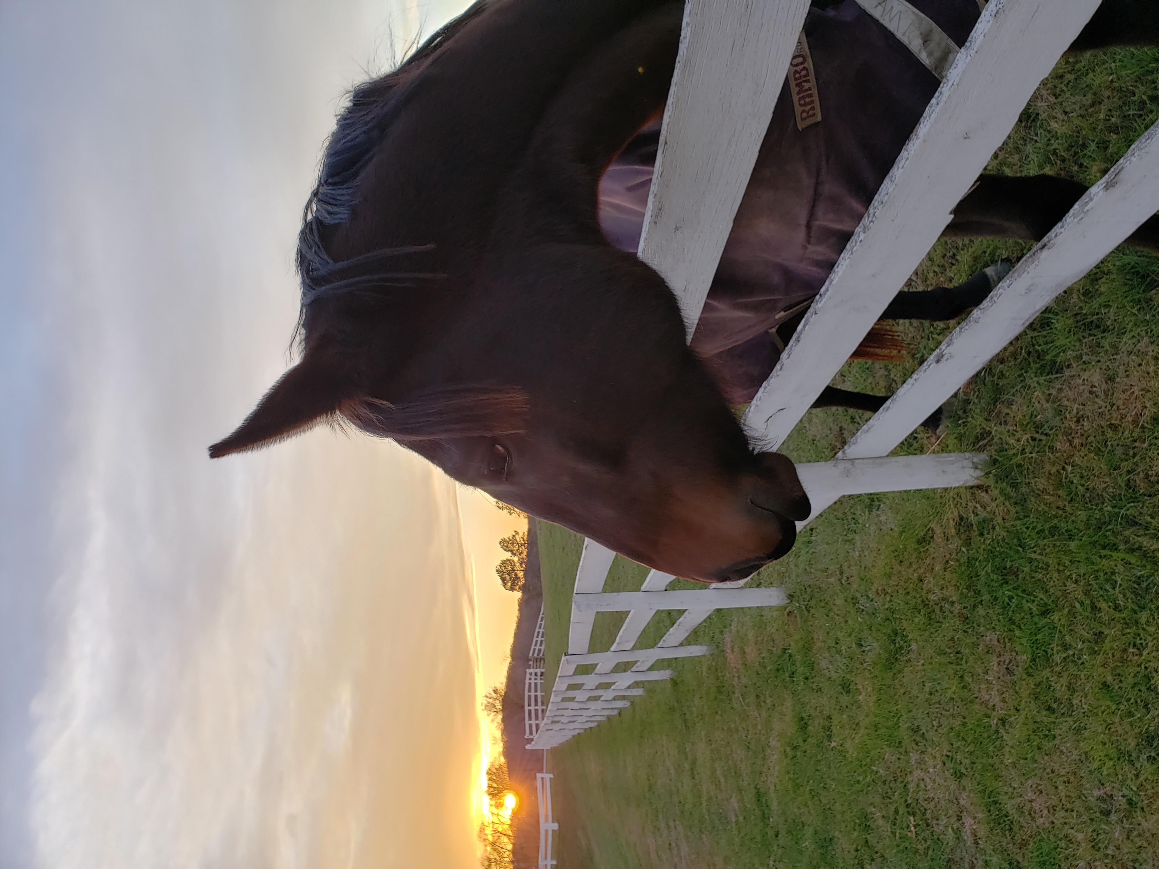 The best life