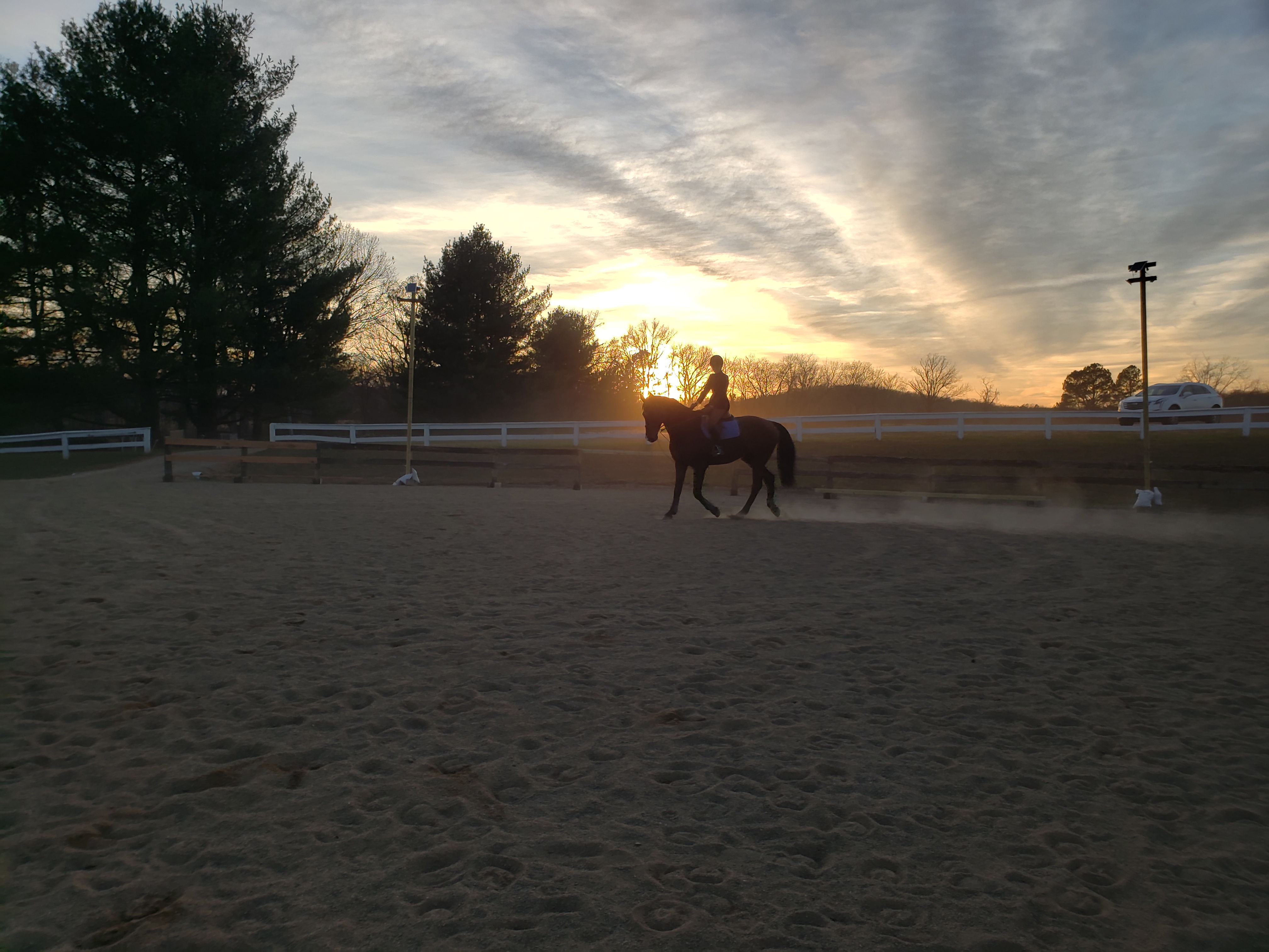 Big outdoor arena with jumps