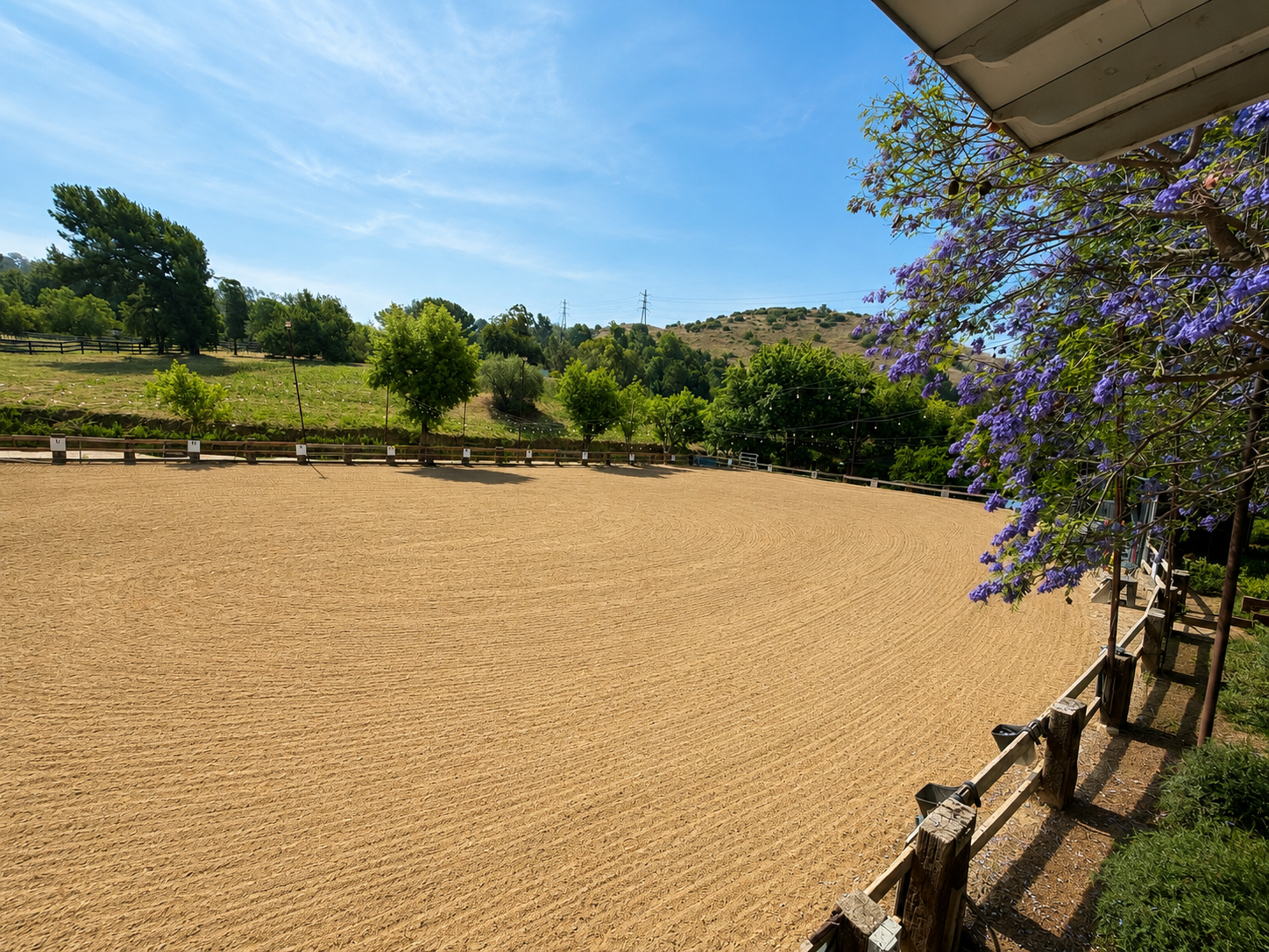 Main Arena (Arena #1) (right view)