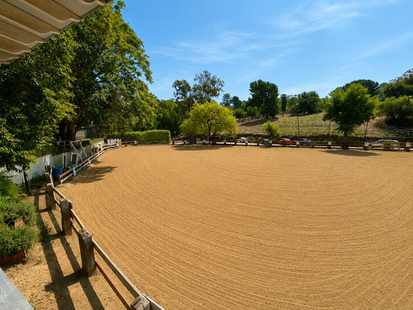 Main Arena  (Arena #1) (left view)