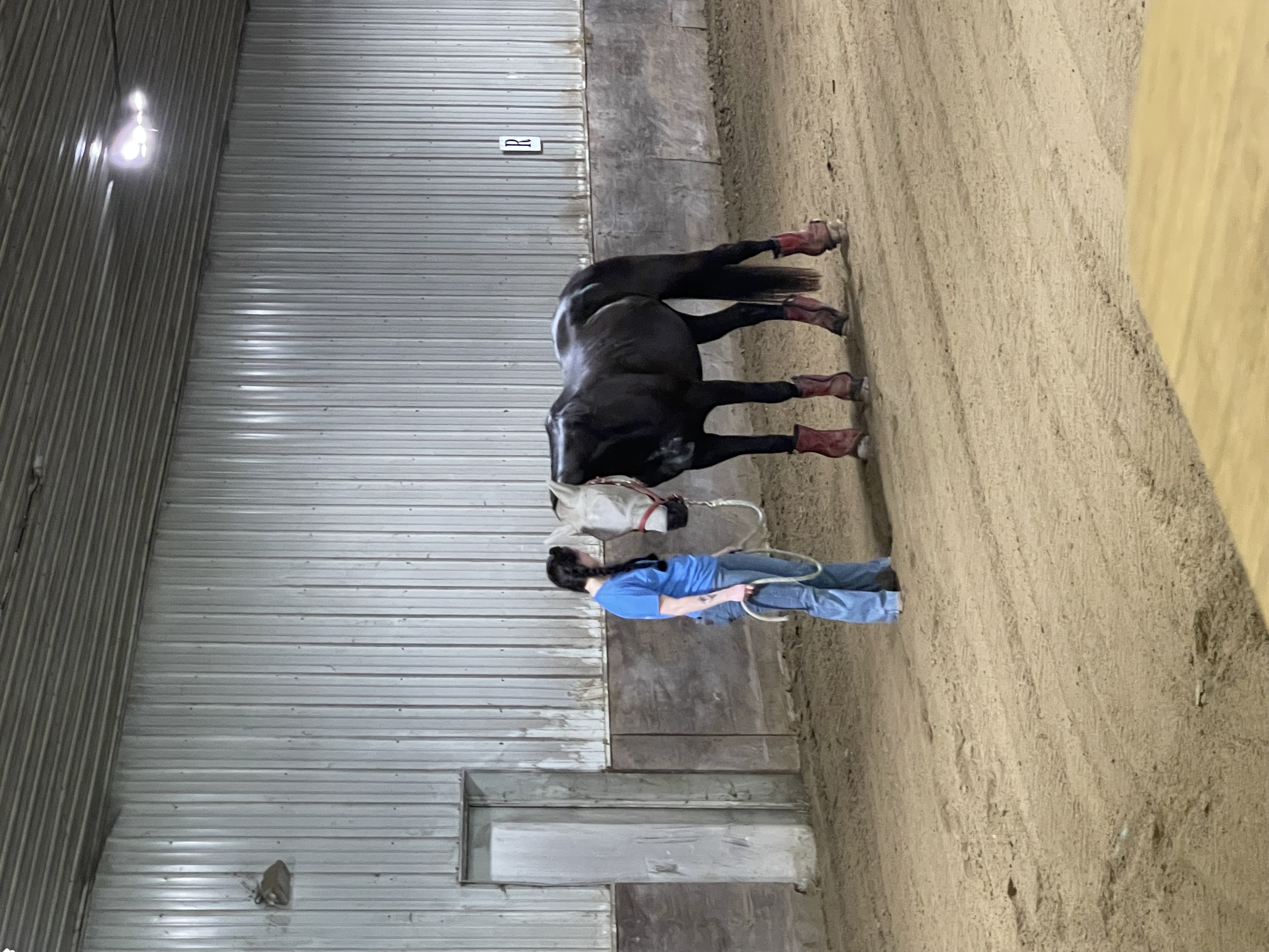Horse time
