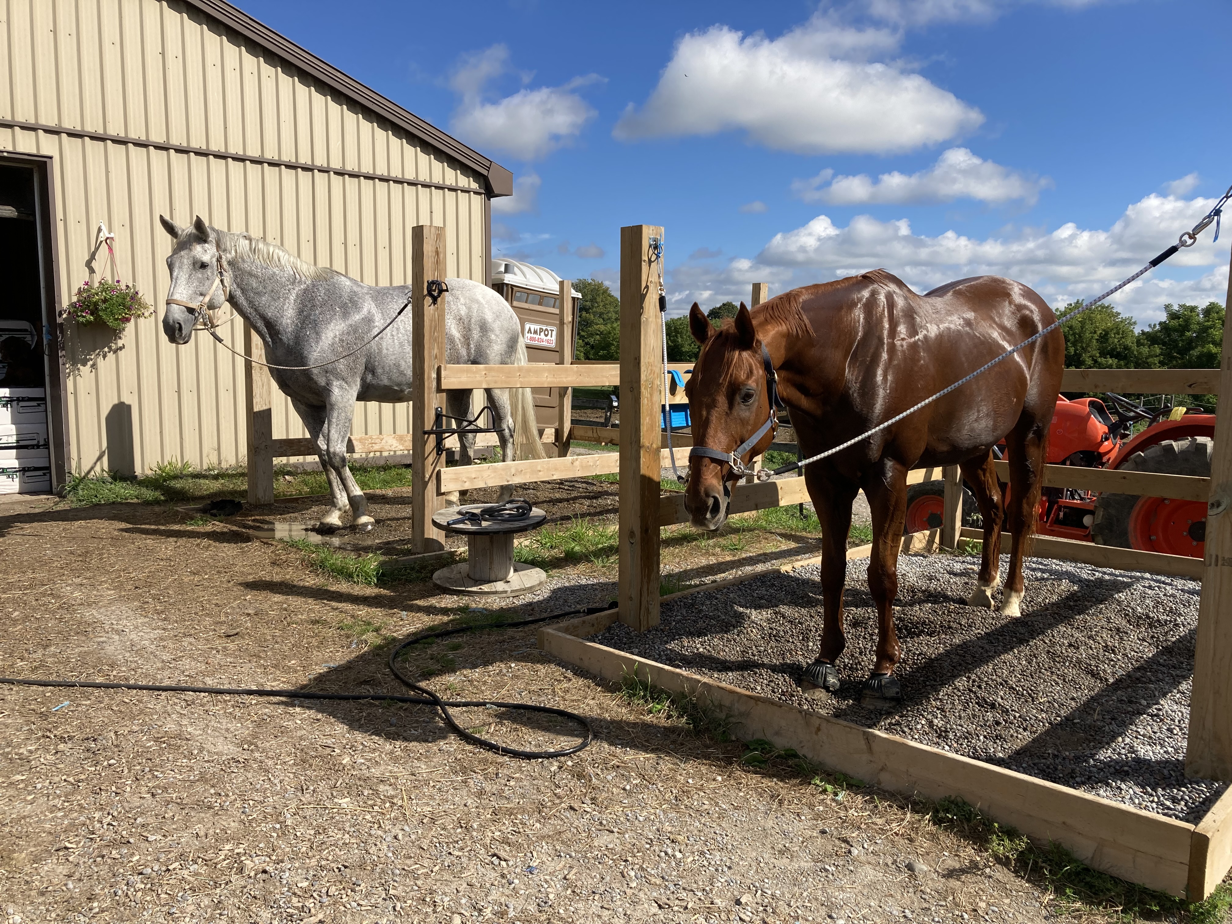 Wash Stalls