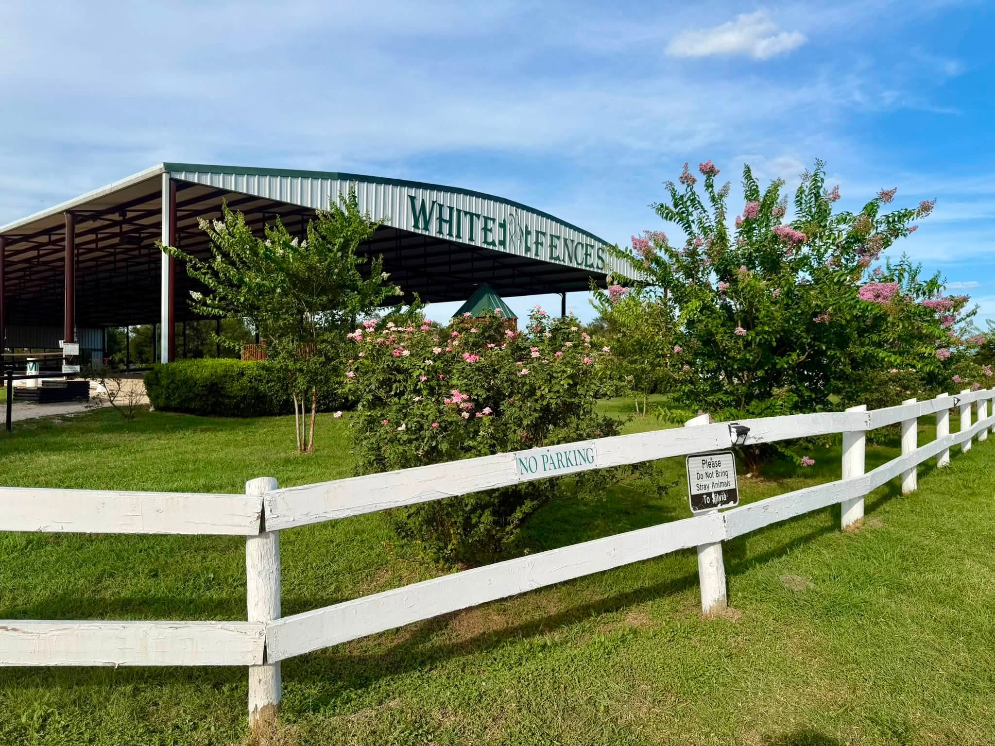 White Fences Dressage
