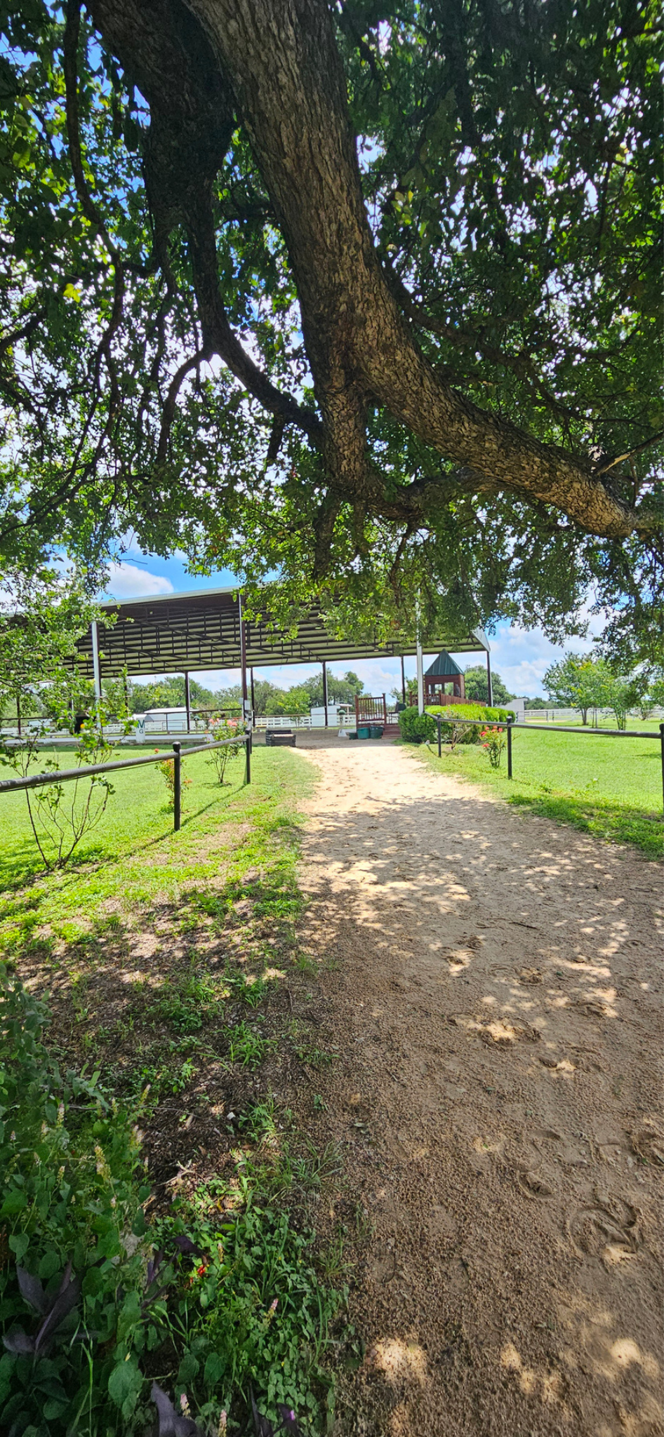 White Fences Dressage Lessons