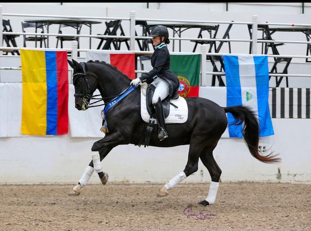White Fences Head Trainer
