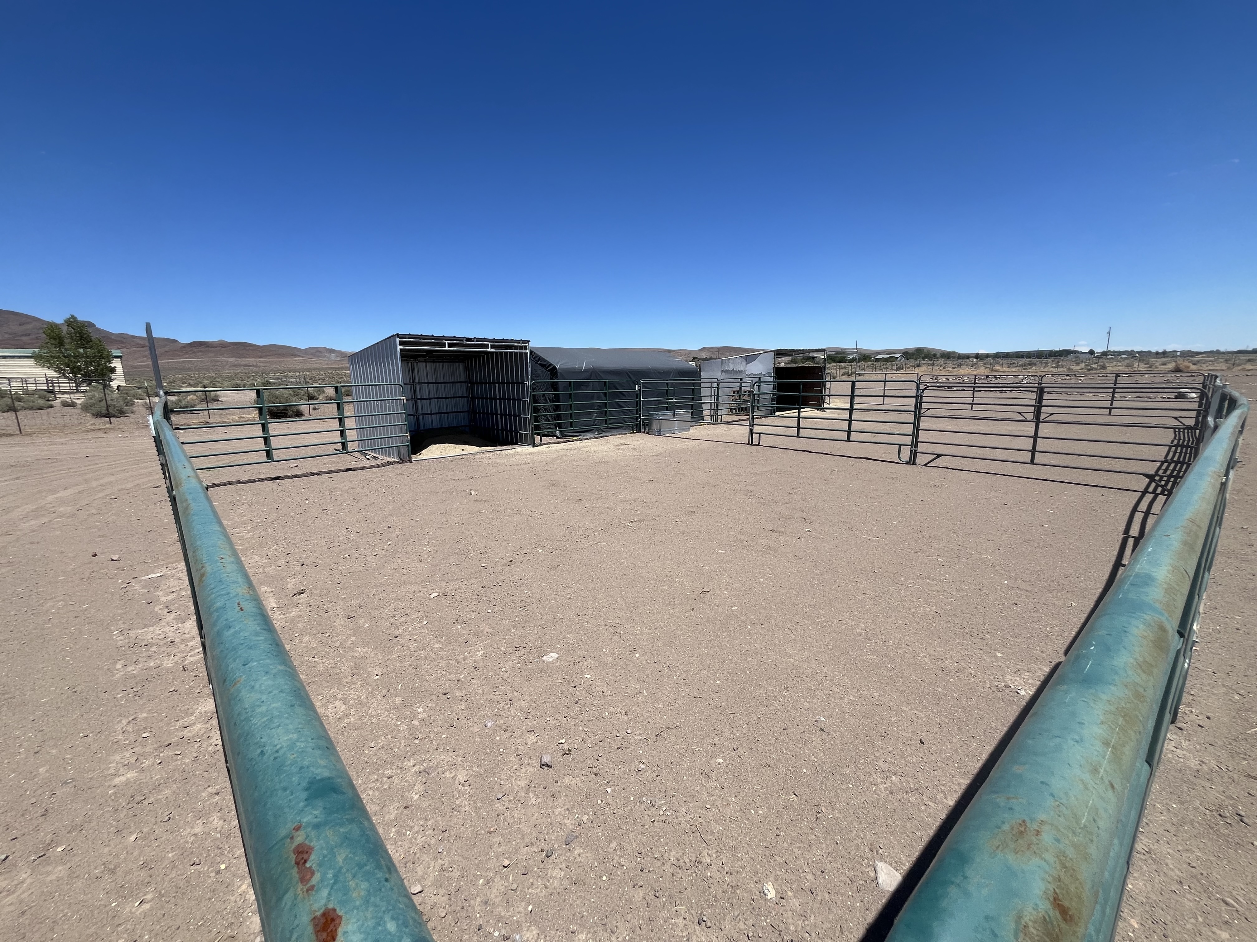1224 sq ft paddock with 10x10' shelter 🐴 Waiting for the Right Horse