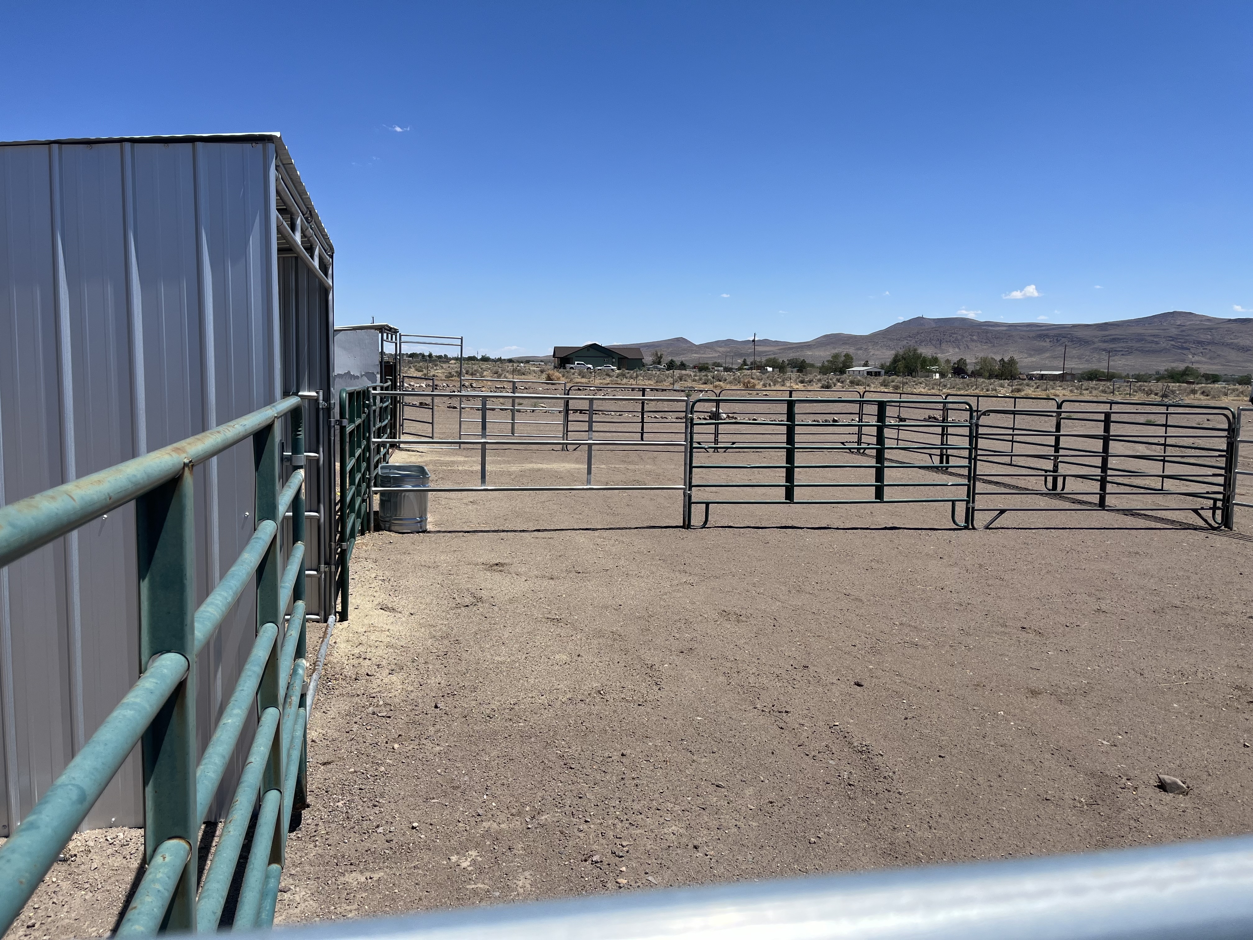 Another view of the 2 Peaceful Paddocks Seeking Residents :)