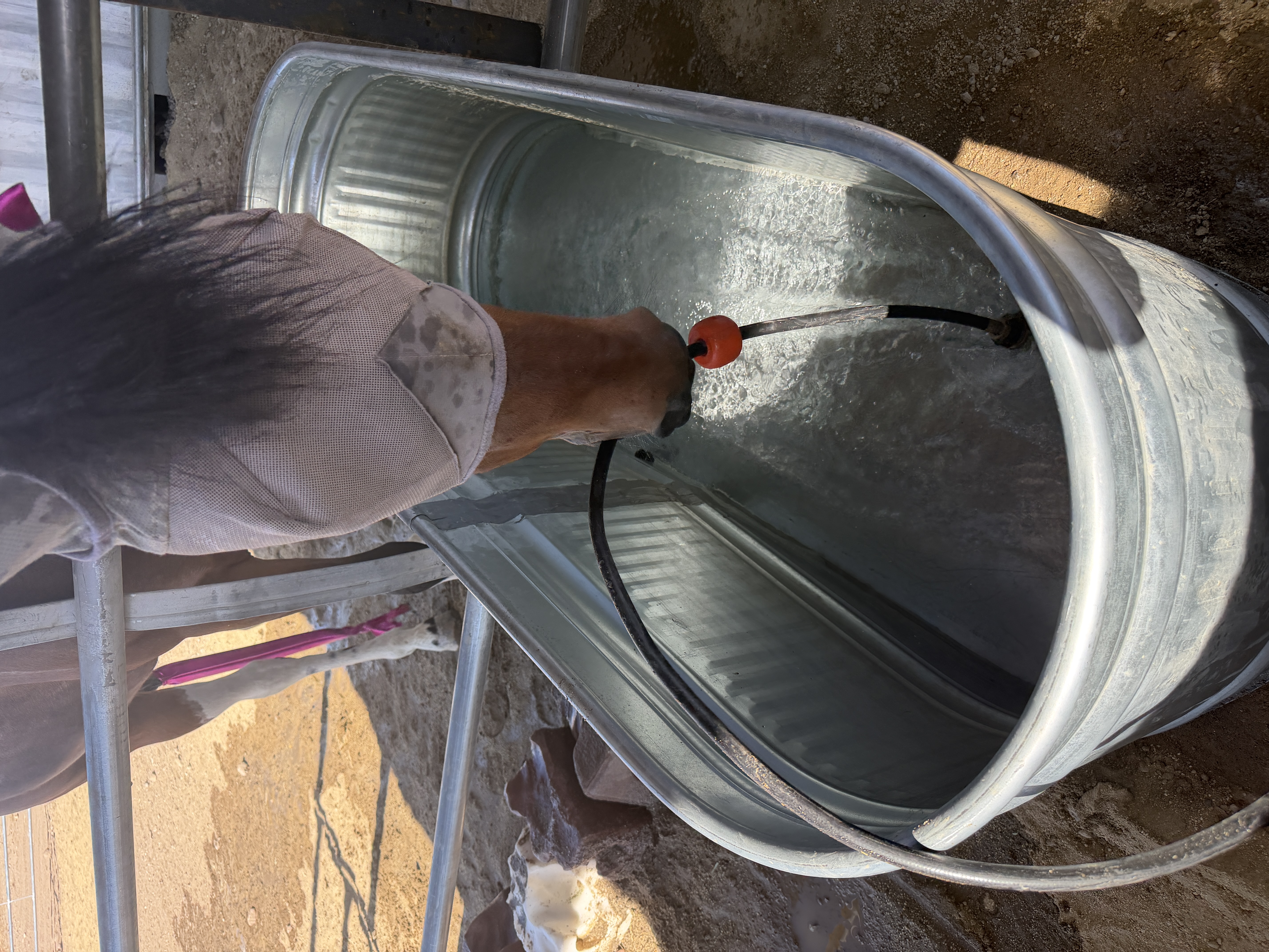 We have the Best Helpers that love clean water!