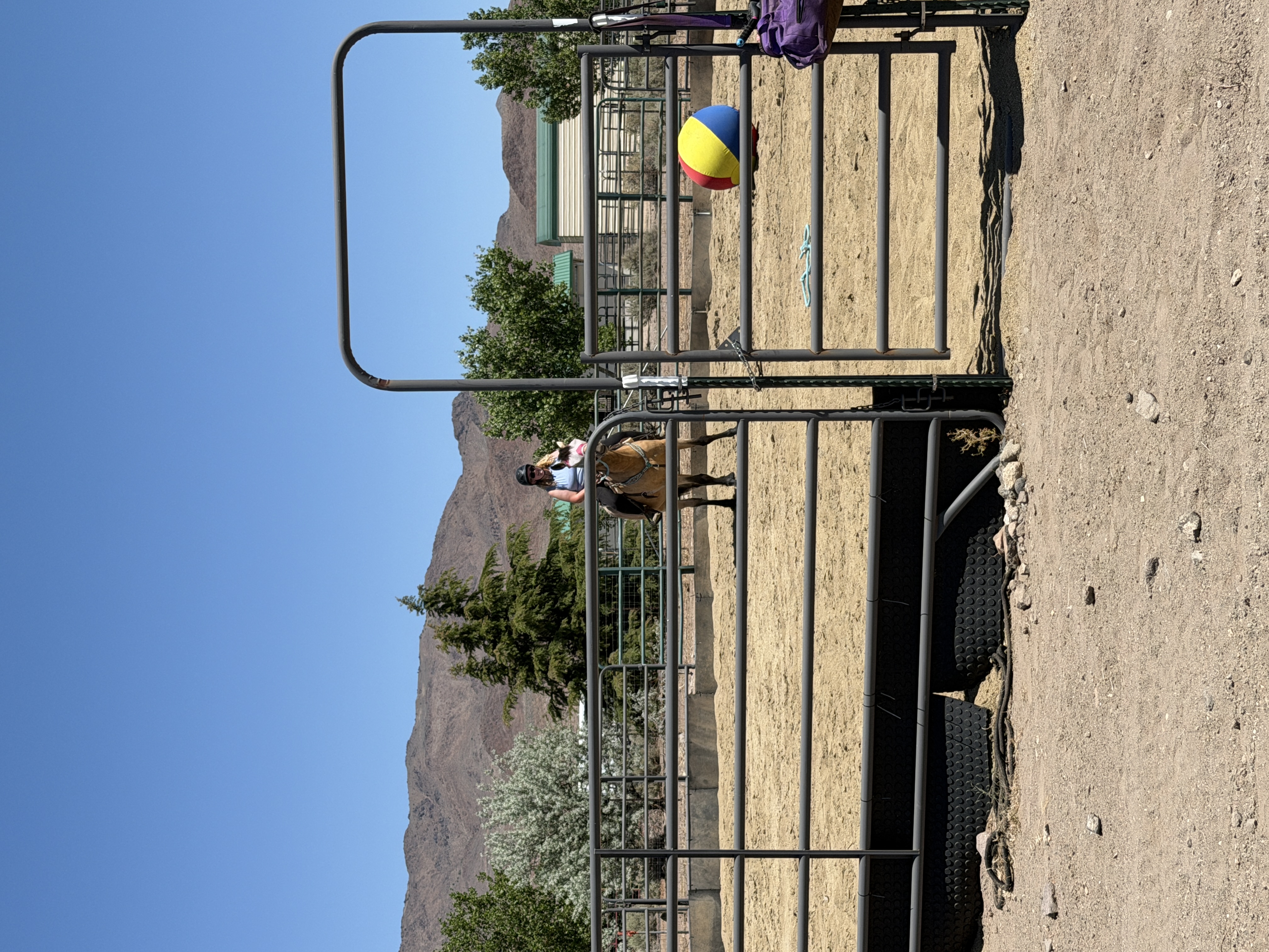 60 ft round pen with poles, balls & other enrichment items