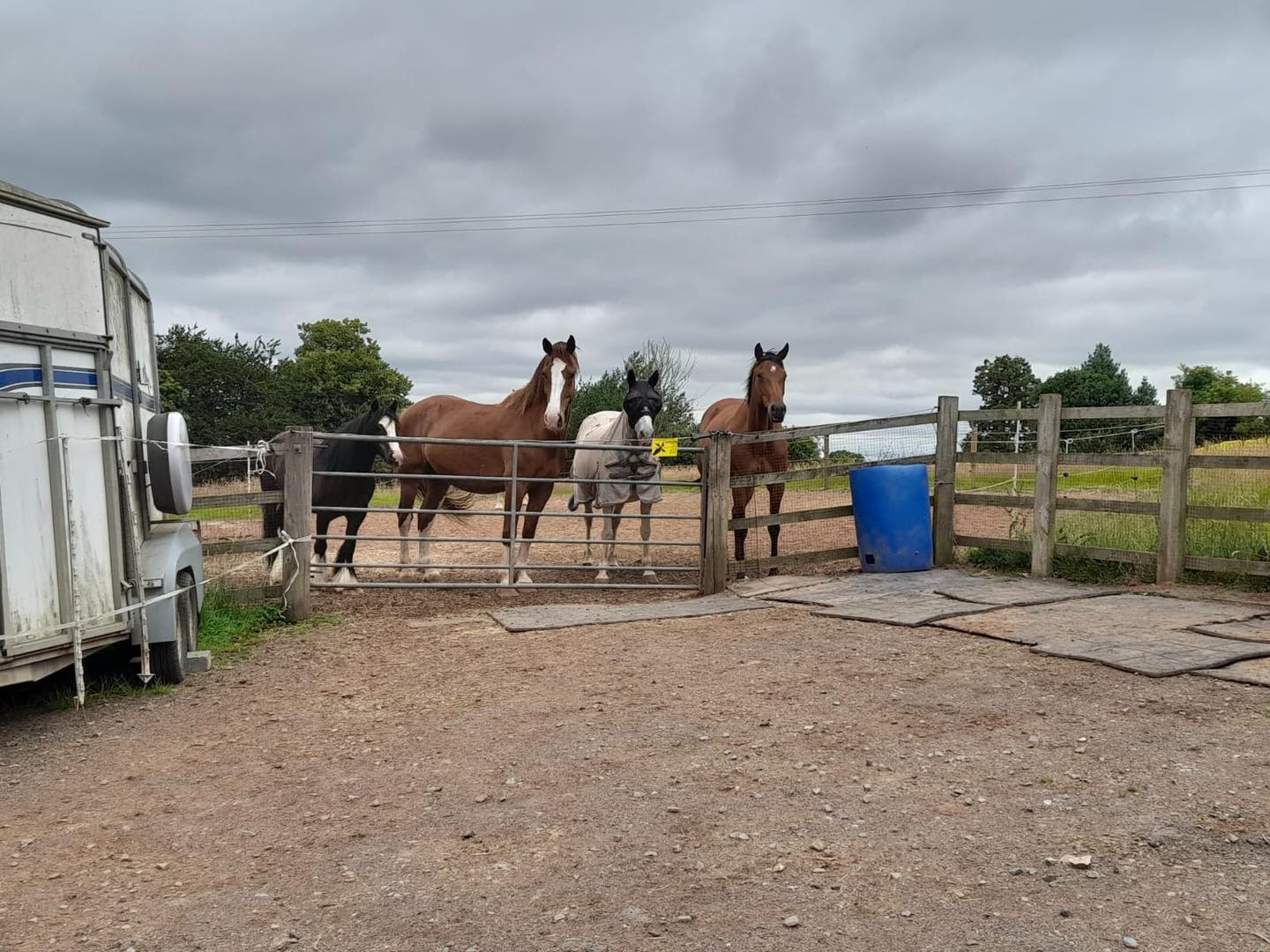 Waiting for breakfast