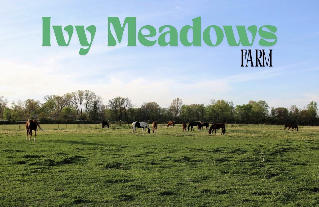 Ivy Meadows Farm