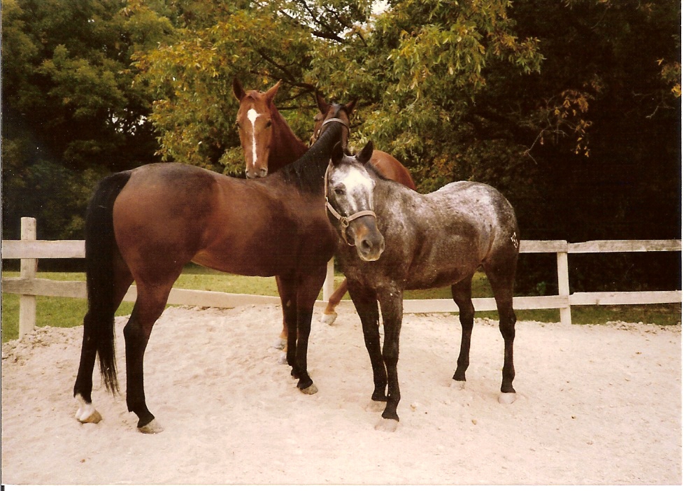 3 Friends