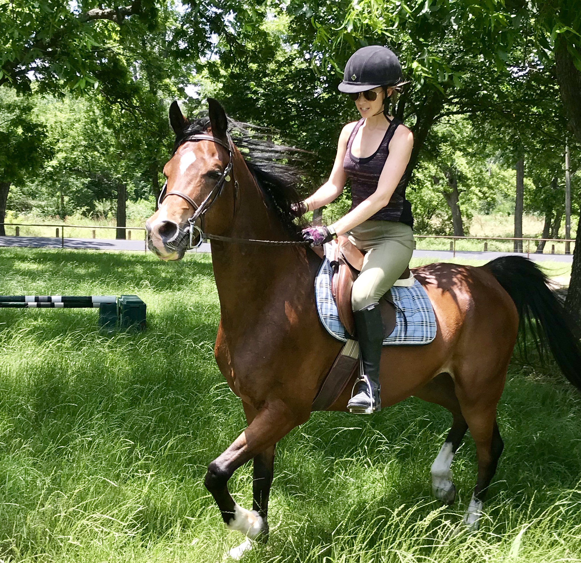 White Rock Stables