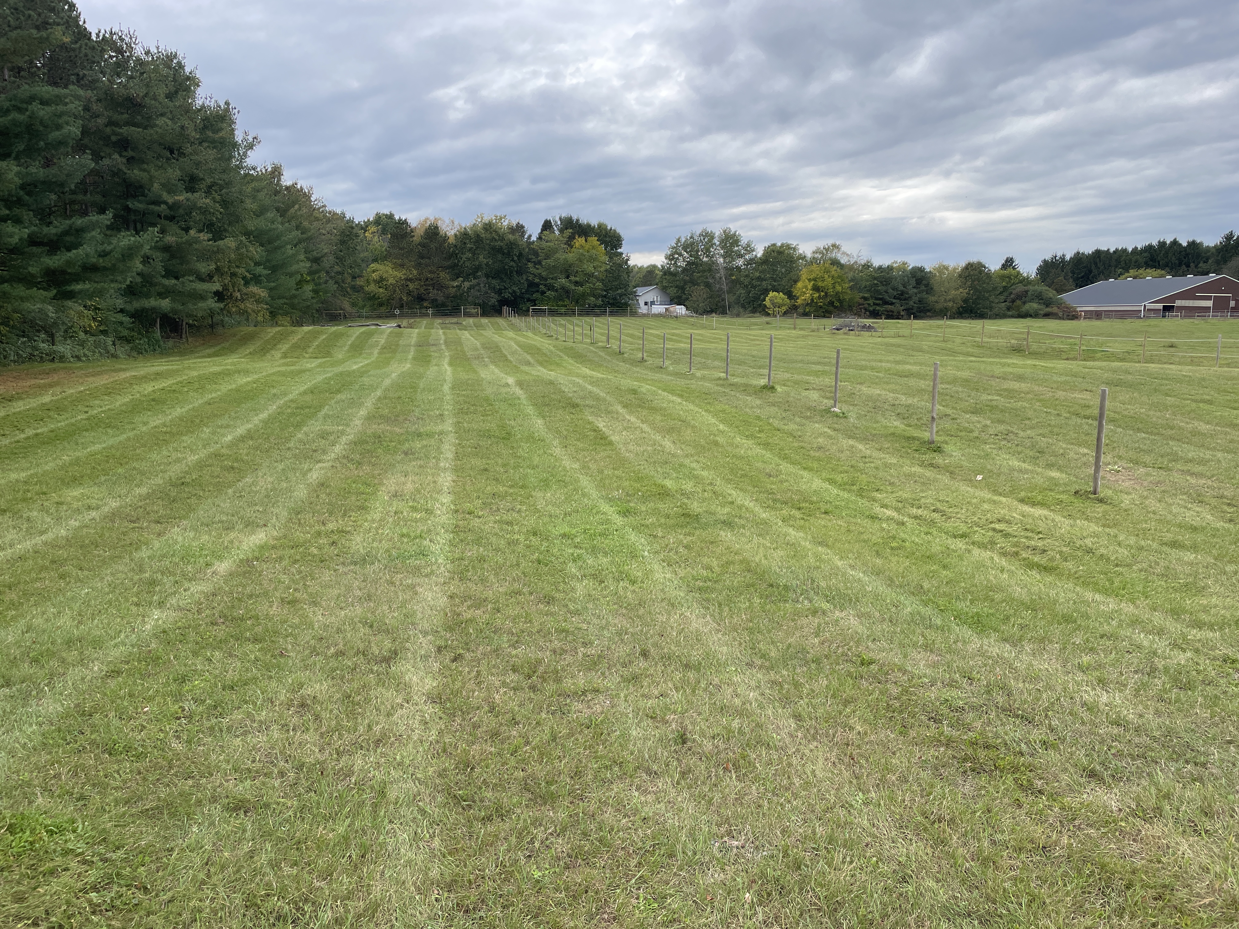 Maintained pastures