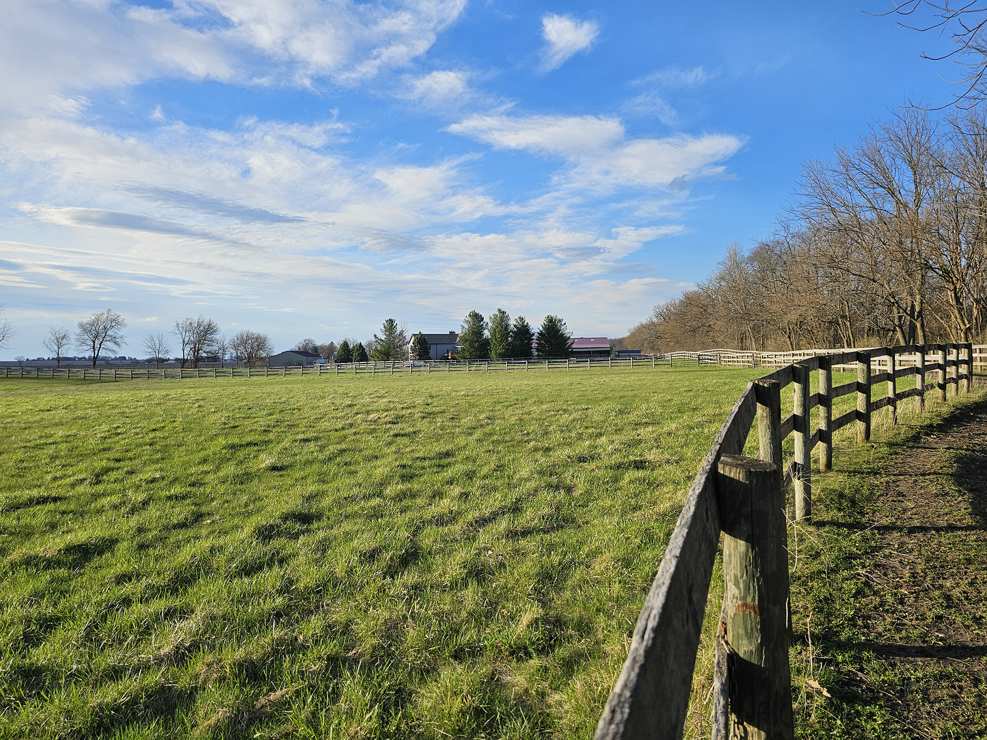 Pasture