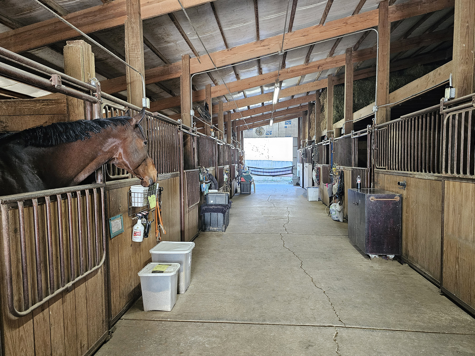 12 x 12 Stalls with Openings