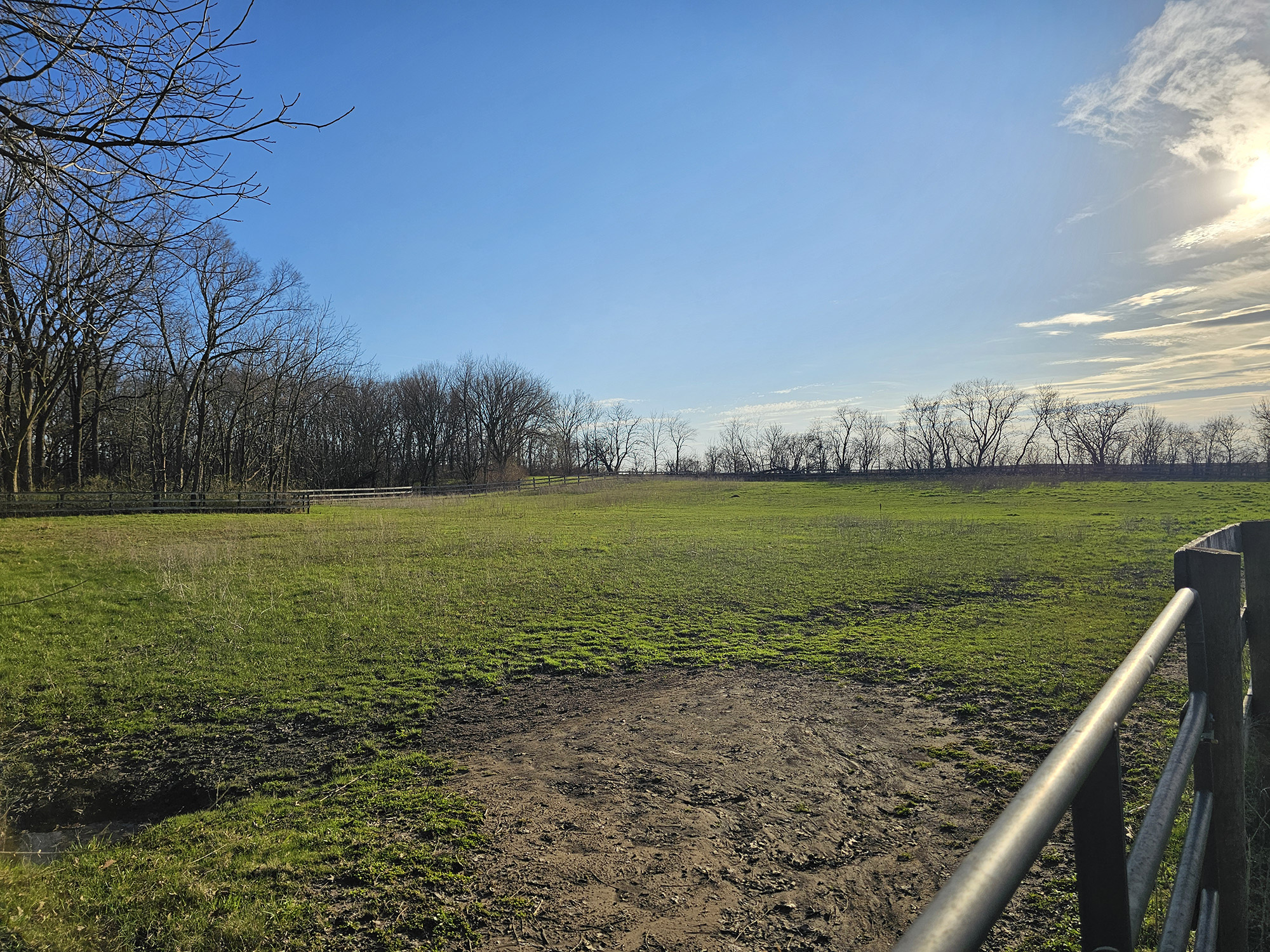 Pasture