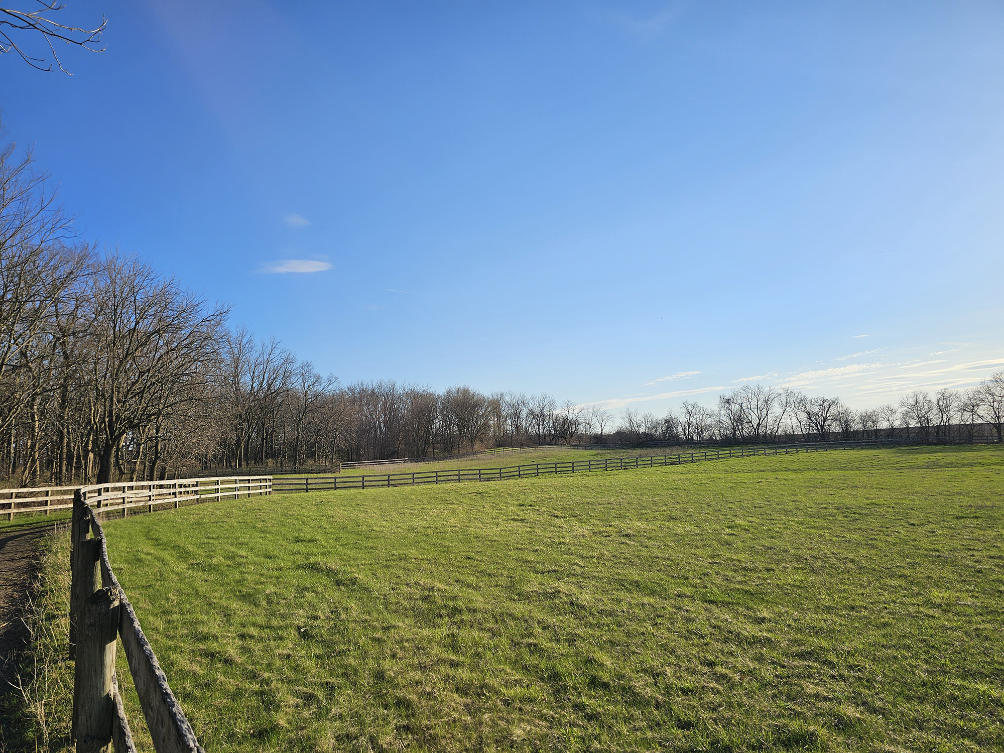 Pasture