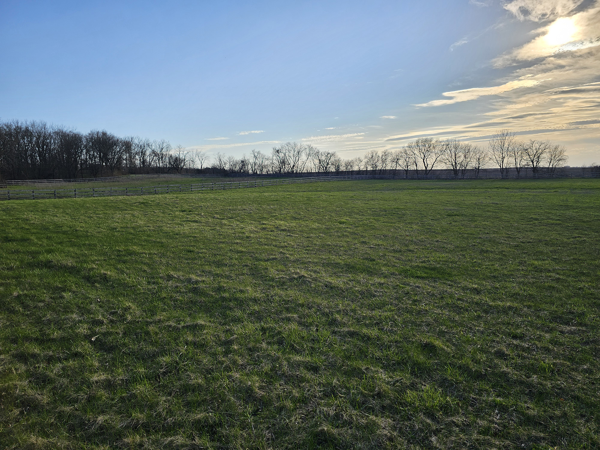 Pasture