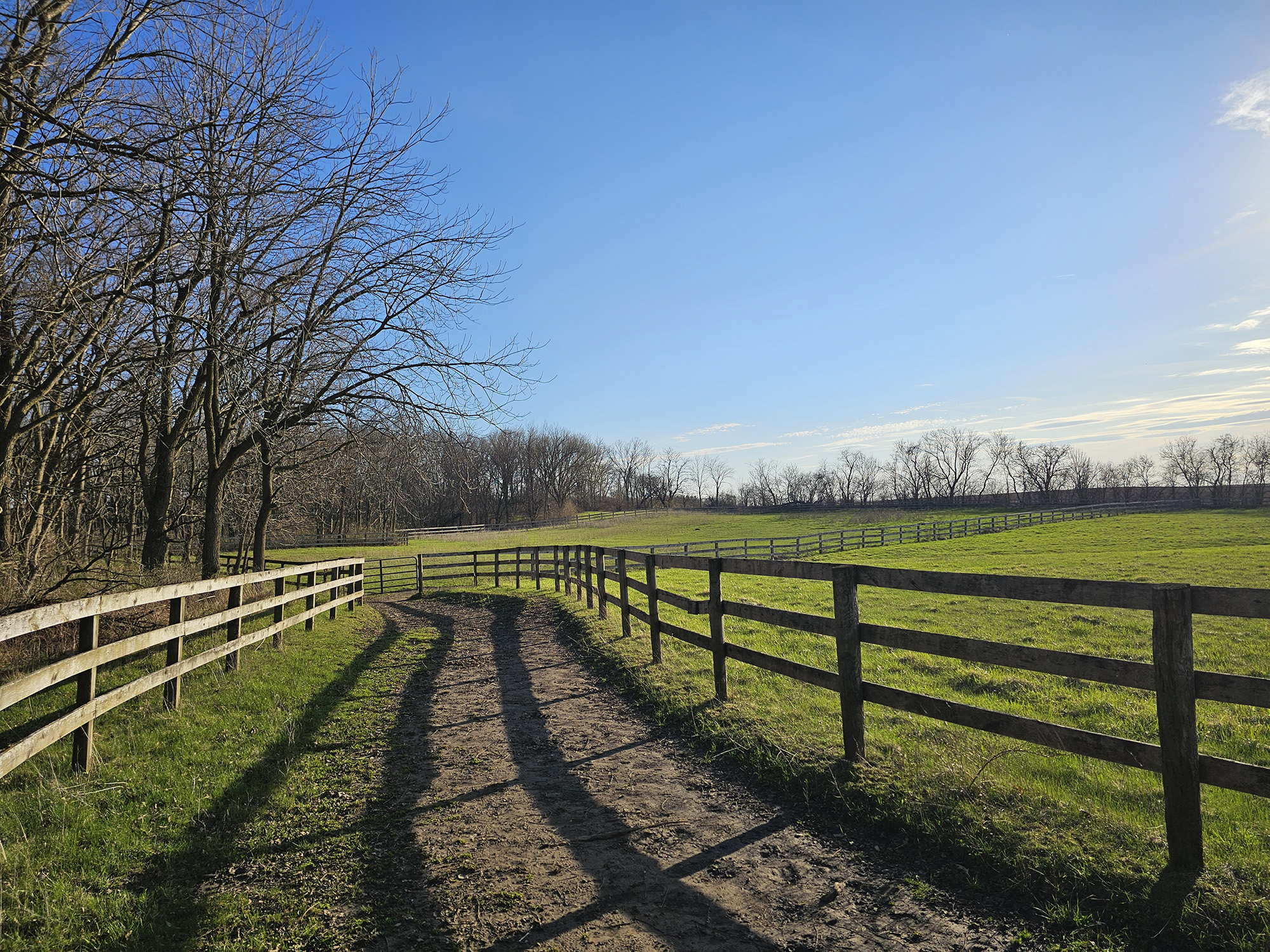 Walkway to multiple pastures
