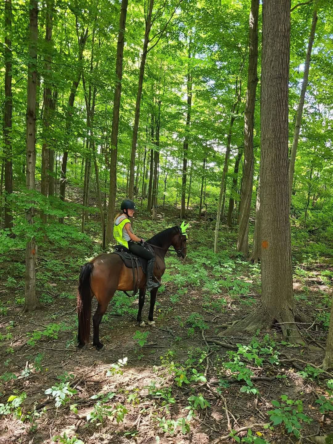 Private forest