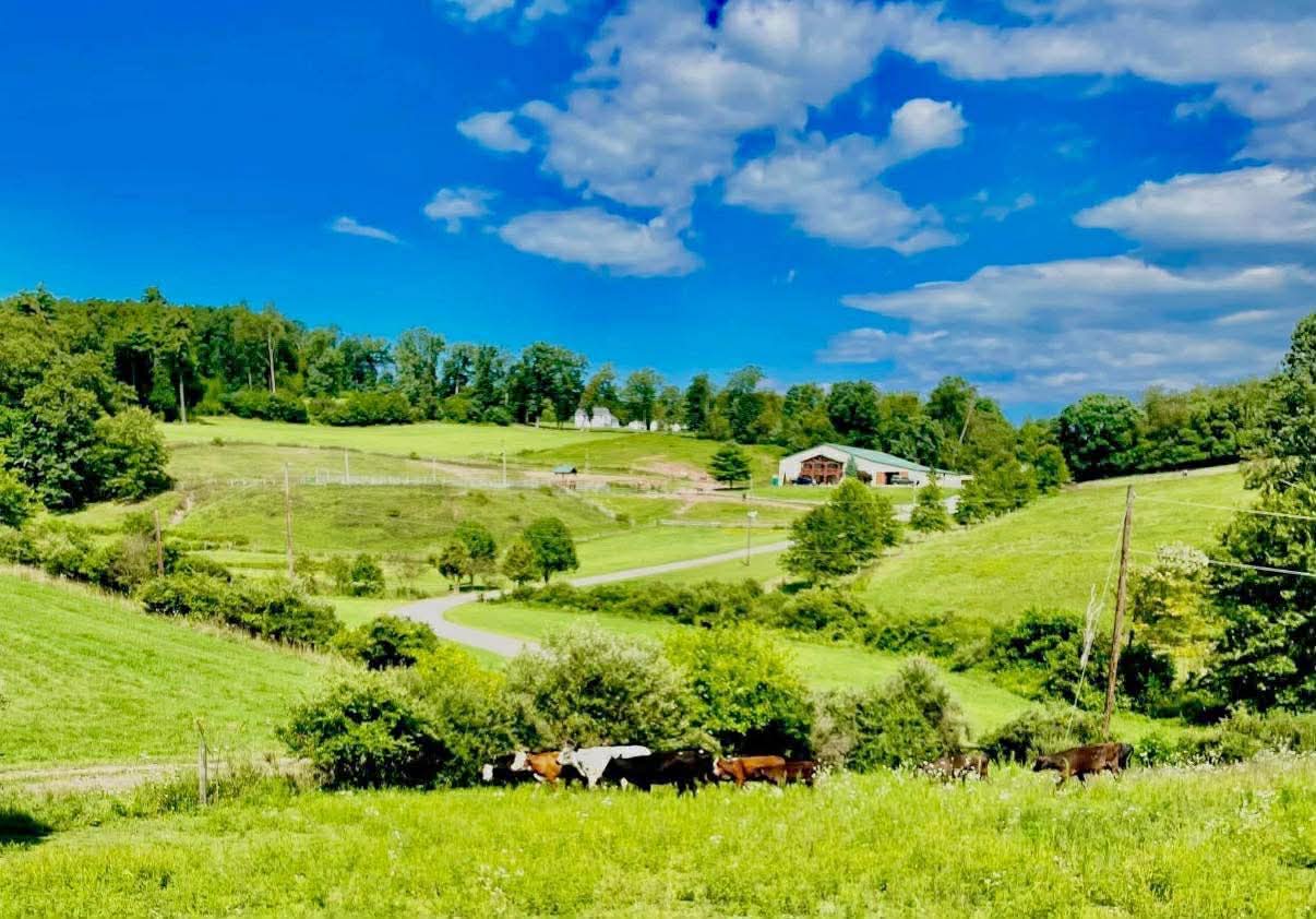 Open Gate Ranch