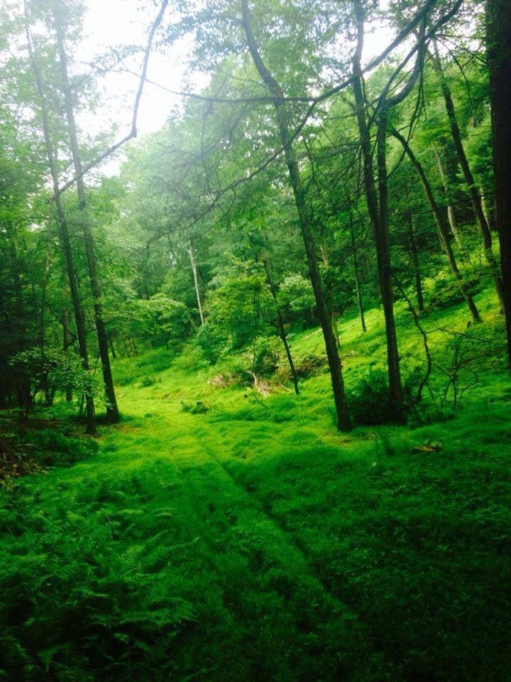 Trails