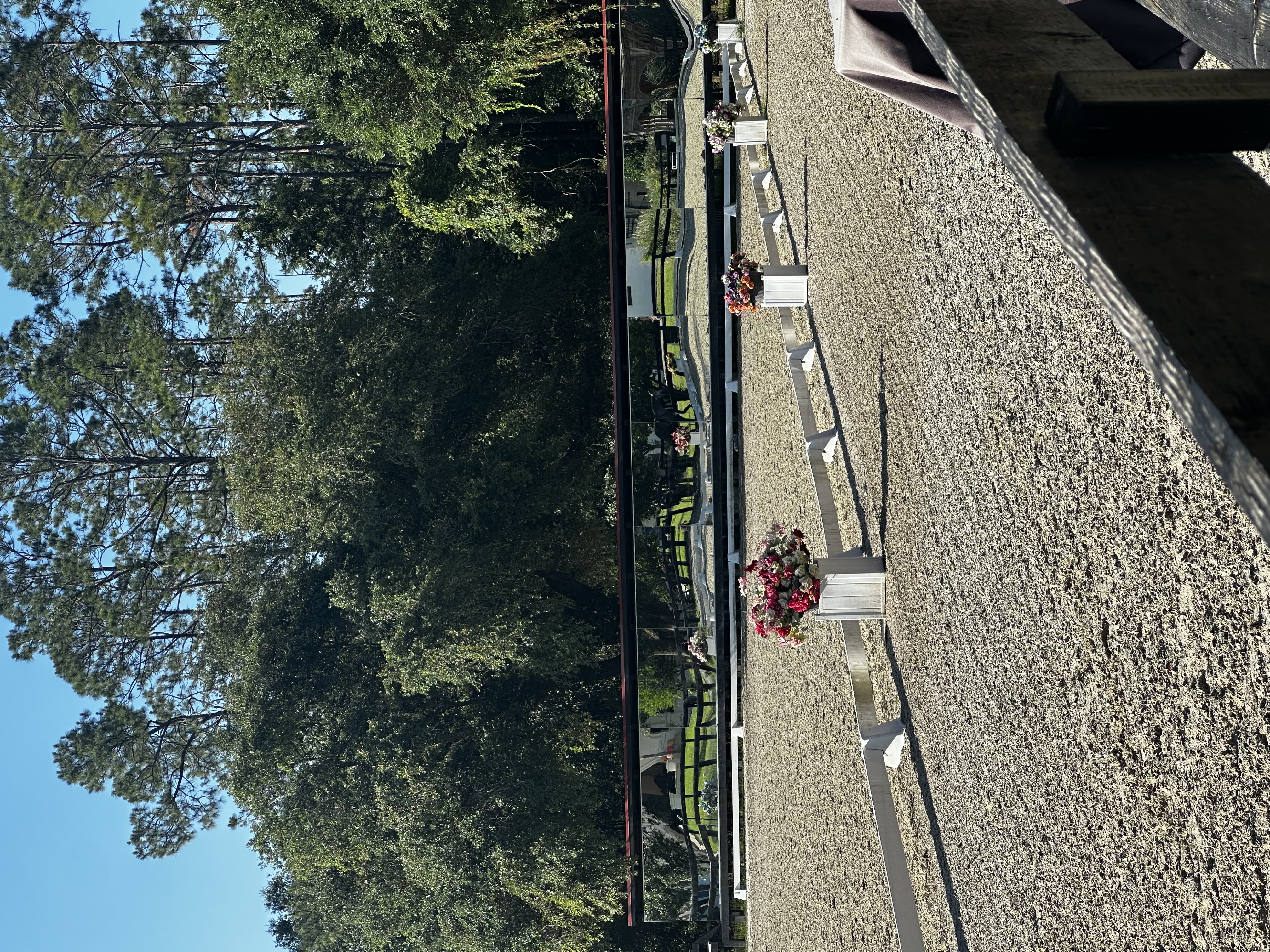 Dressage arena with mirrors